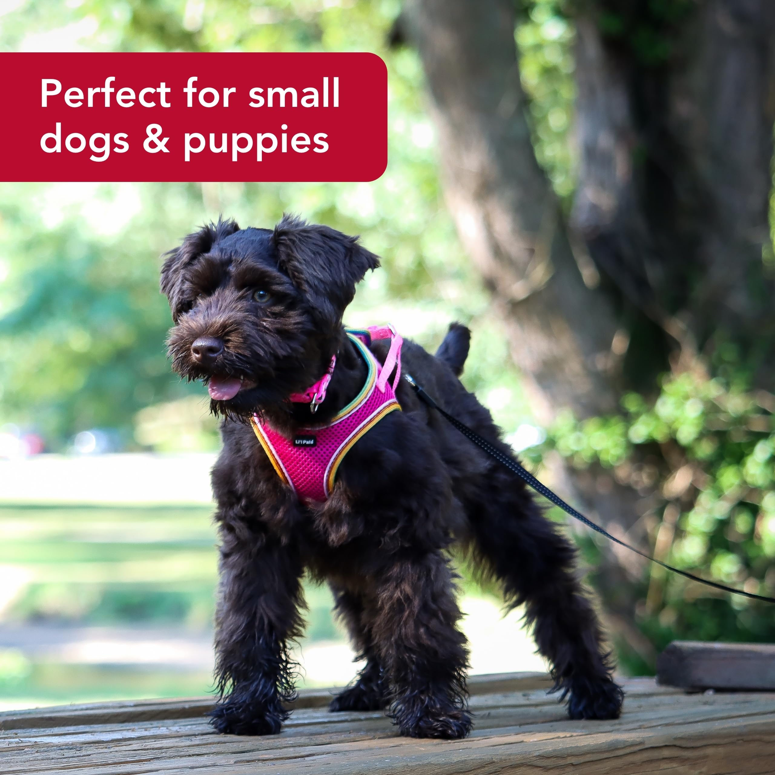 Coastal Pet Li'L Pals Comfort Mesh Dog Harness - No-Pull Step-In Dog Harness For Small Dogs & Puppies - Dog Cooling Vest - Orchid - 3/8' X 8'-10'