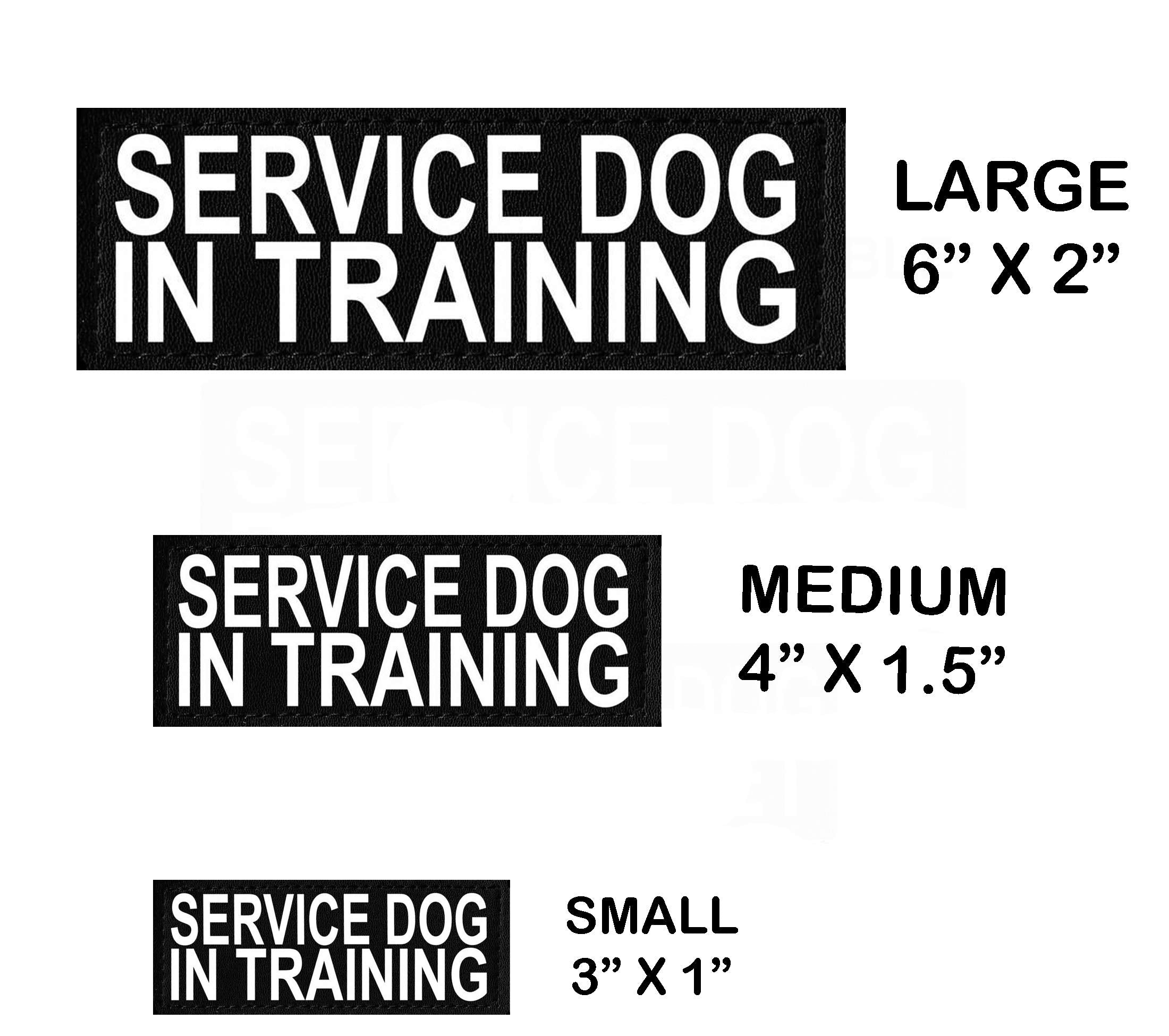 Set Of 2 Reflective Service Dog In Training Patches For Service Dog Harnesses & Vests. (Medium 4' X 1.5')