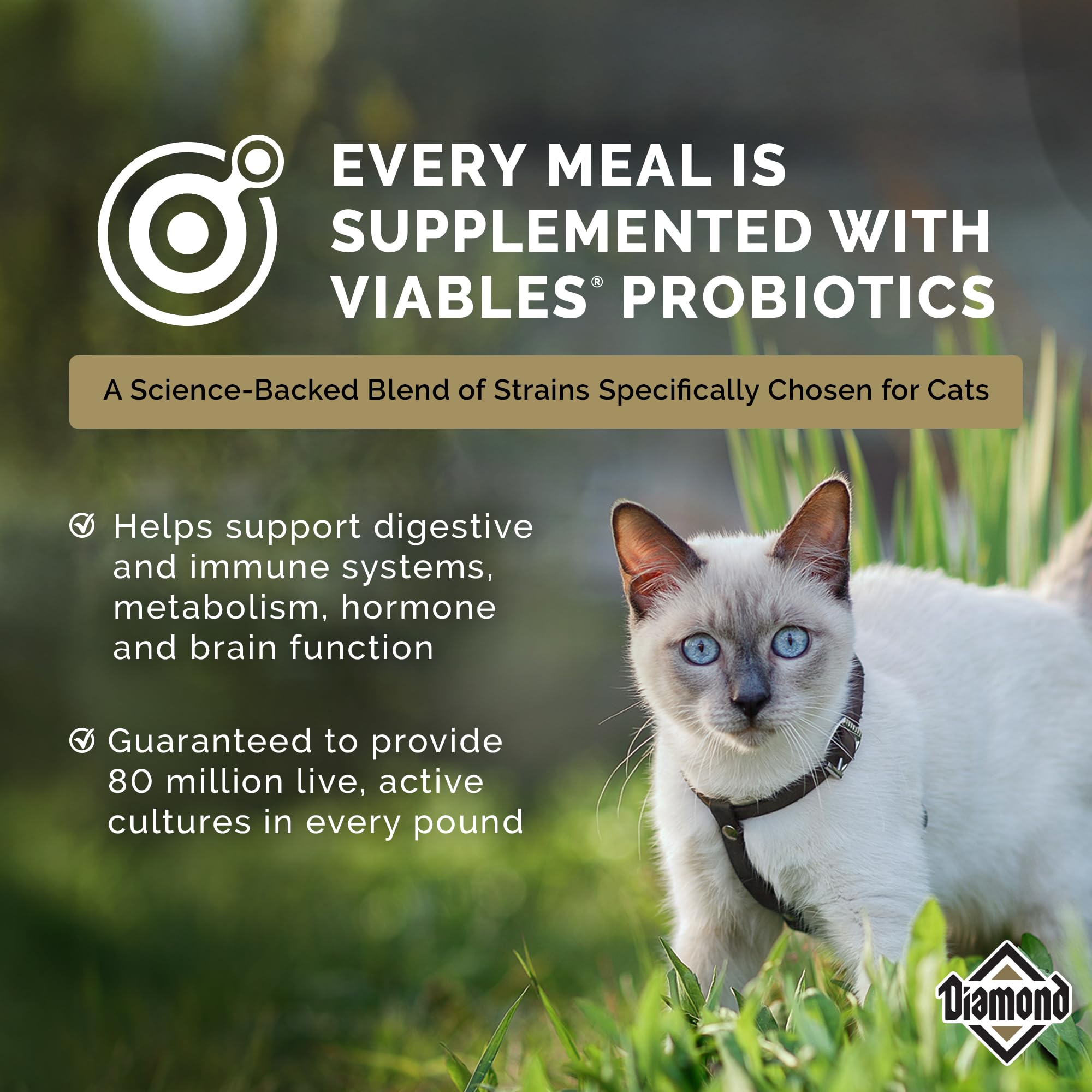 Diamond Adult Dry Cat Food Maintenance Formula with Protein, Probiotics and Antioxidants