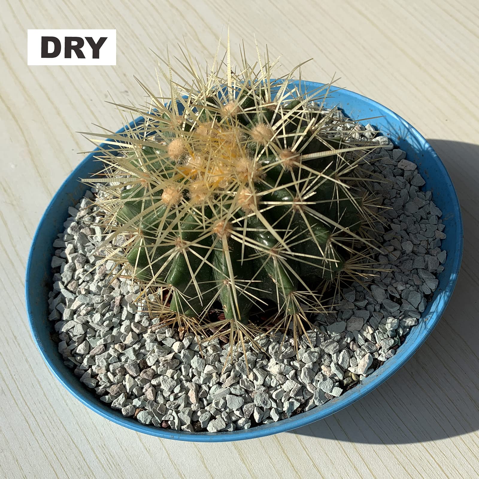 Boniosz 2lb Succulents and Cactus Green Zeolite, D  cor & Additive Rocks, Natural Decorative Gravel for Bonsai, Fairy Gardening,