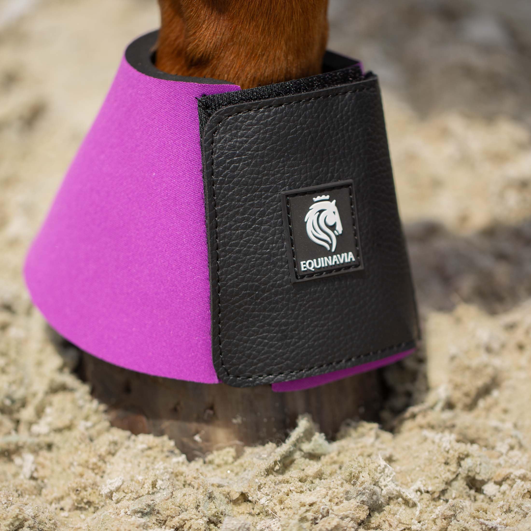 Equinavia Toki Bell Boots For Horses | Neoprene Overreach Boots - Bright Purple - Xl