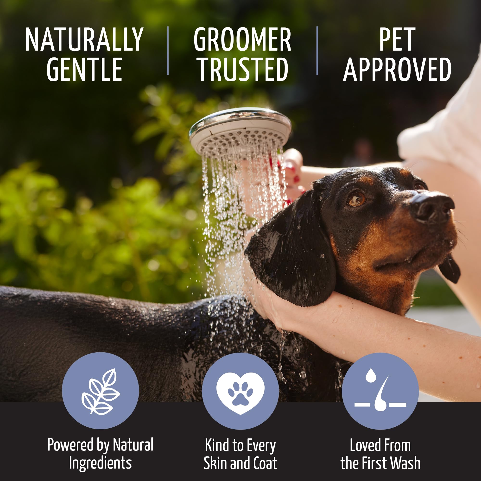 Tauro Pro Line Pure Nature Magic Plex Dogs And Cats Shampoo Instant Revitalization With Essential Oils For Shiny And Healthy Ski