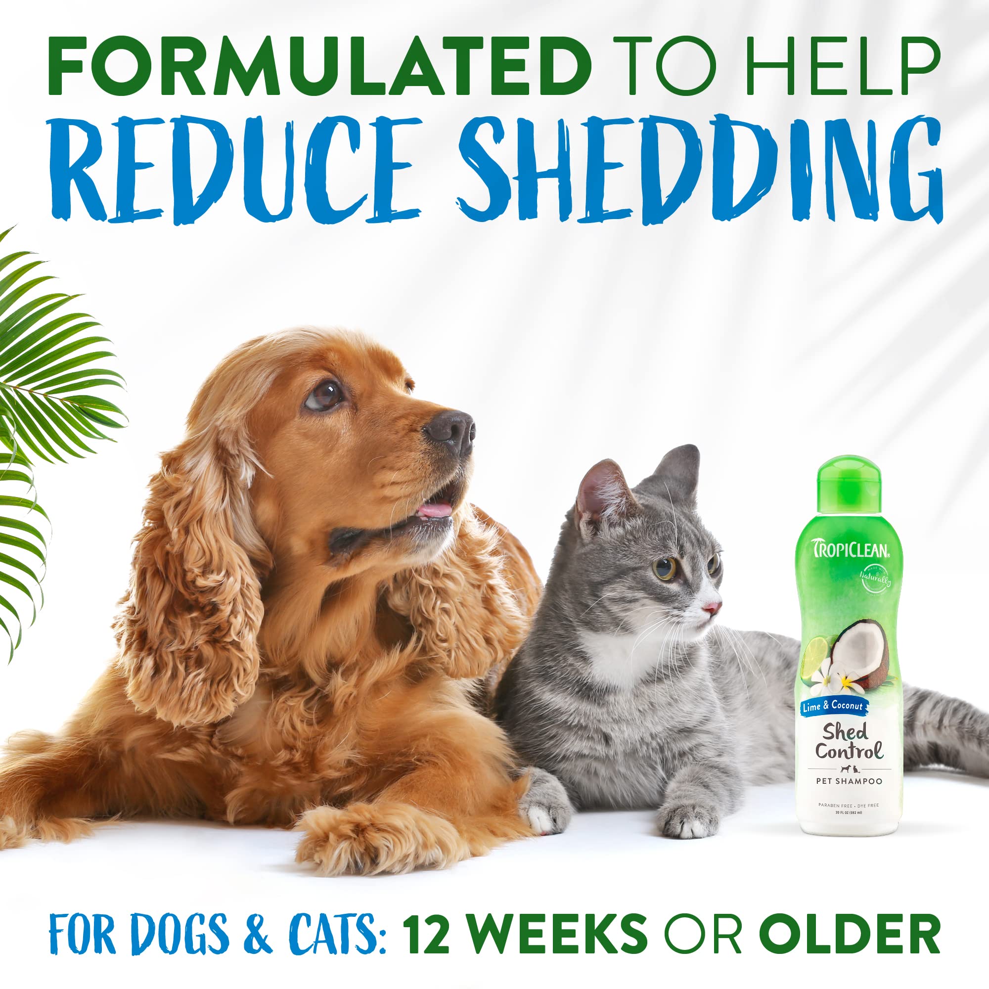 Tropiclean Deshedding Dog Shampoo, Fast-Acting Shedding Control & Coat Softener, Puppy Safe, Made In Usa, Lime & Coconut Scent, Cat Friendly, 20Oz.