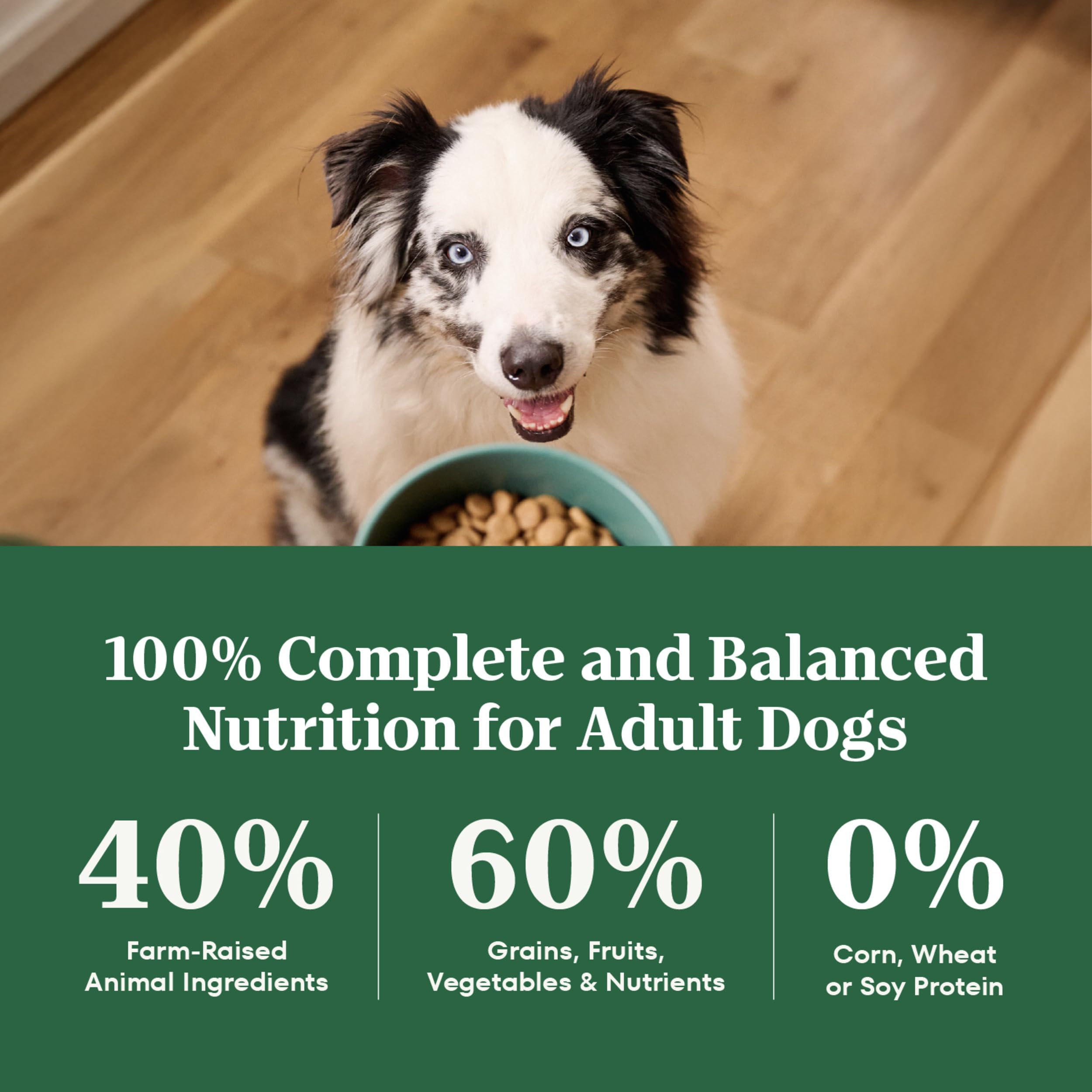 Nutro Natural Choice Adult Large Breed Dry Dog Food, Lamb and Brown Rice Recipe, 36 lbs.