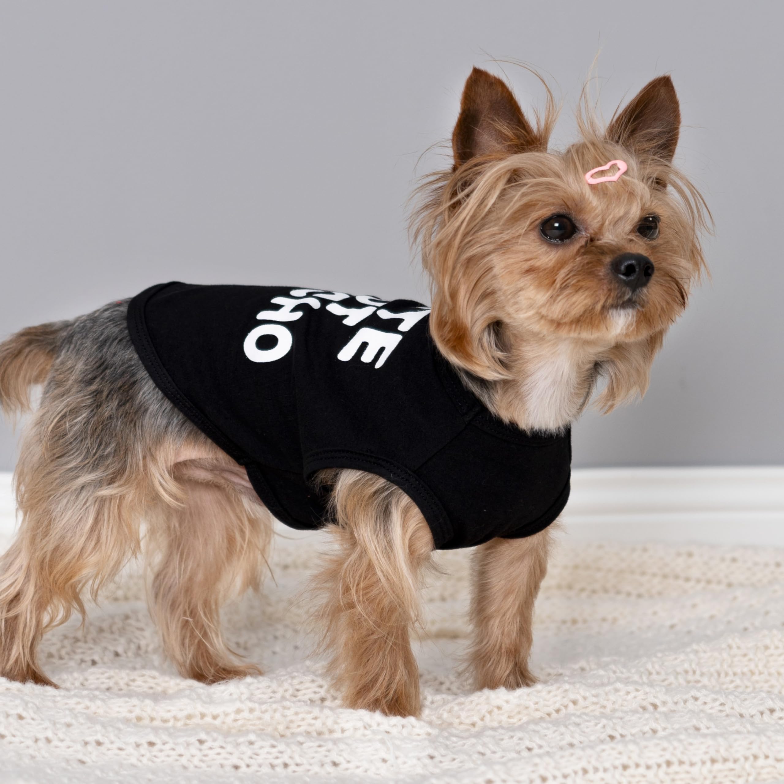 Fitwarm Cute But Psycho Dog Shirt, Summer Clothes For Small Dogs Boy Girl, Funny Pet Outfit, Black, White, Medium