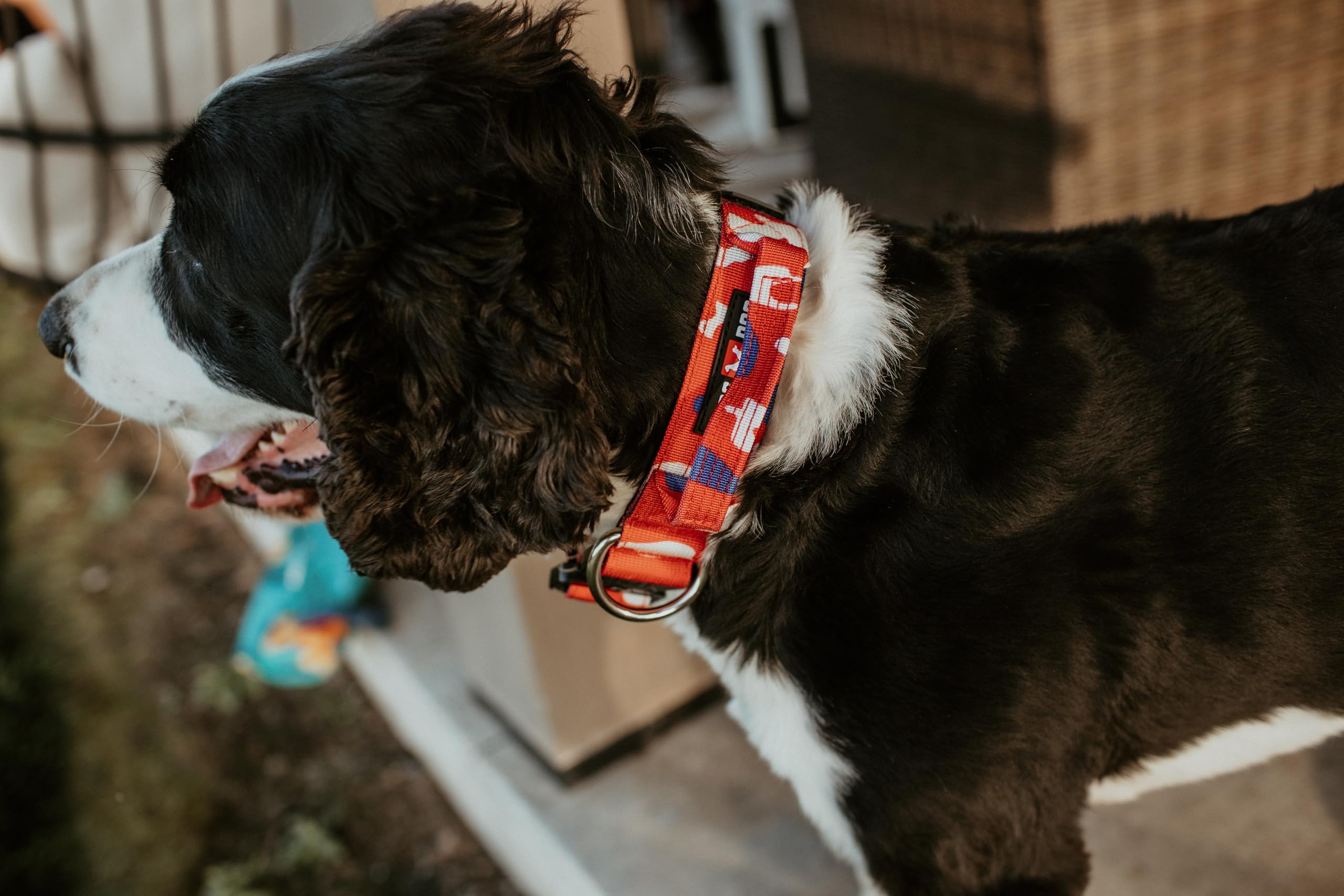 Boss Dog Tactical Collar, Red, White & Blue Camo, Large