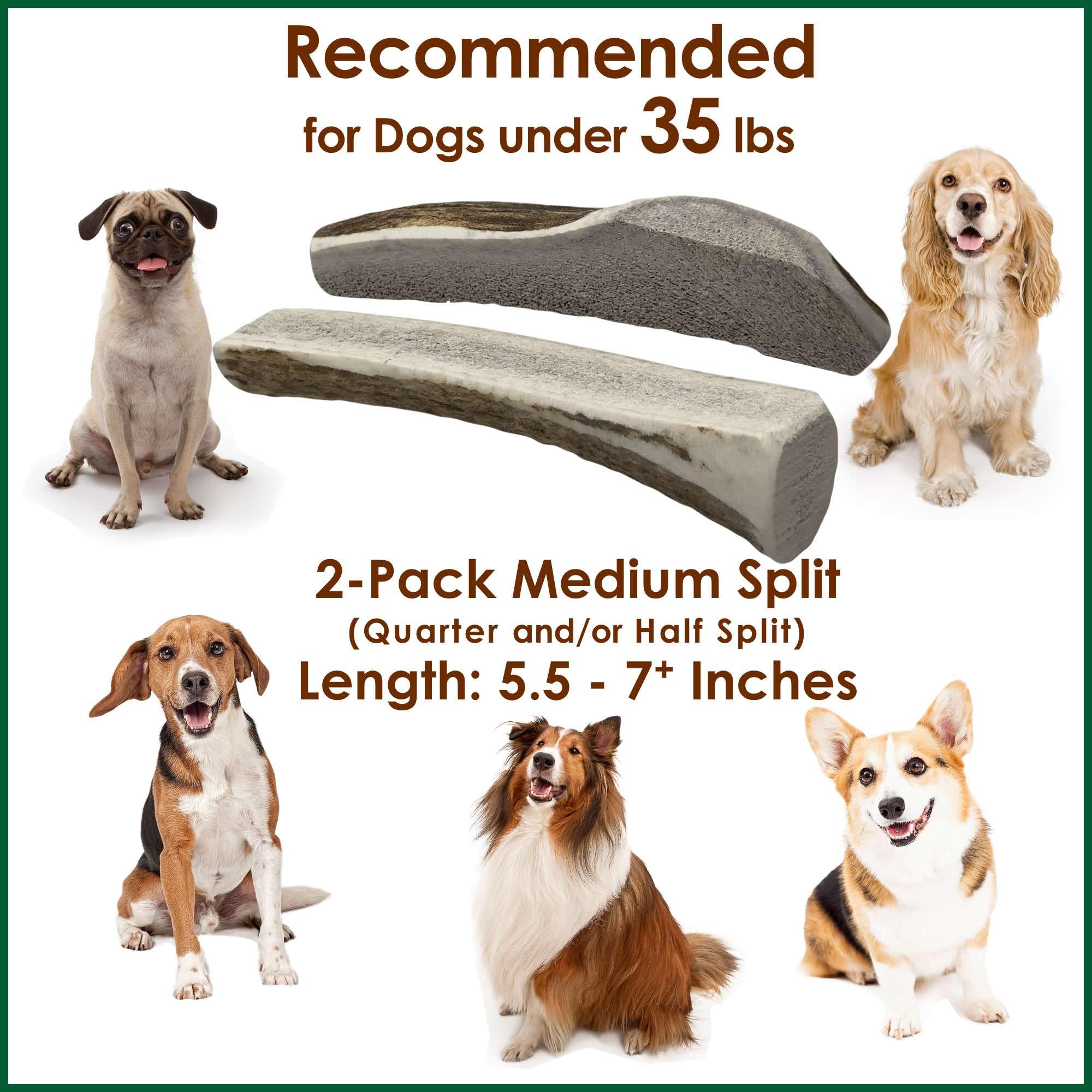 Deluxe Naturals 2-Pack Medium Split Elk Antler Dog Chews (5.5 to 7+ in) - All Natural, Premium Grade A, Odor-Free, USA-Sourced -