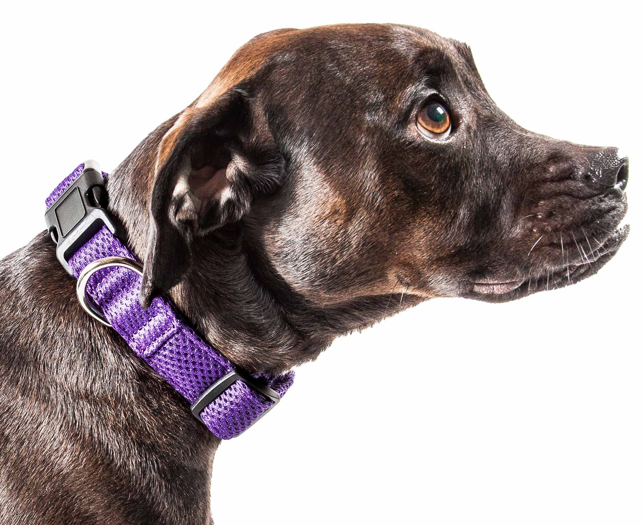 Pet Life Aero Mesh Dual Sided Adjustable Pet Collar, Small, Purple, Polyester, CL14PLSM, Breathable Design