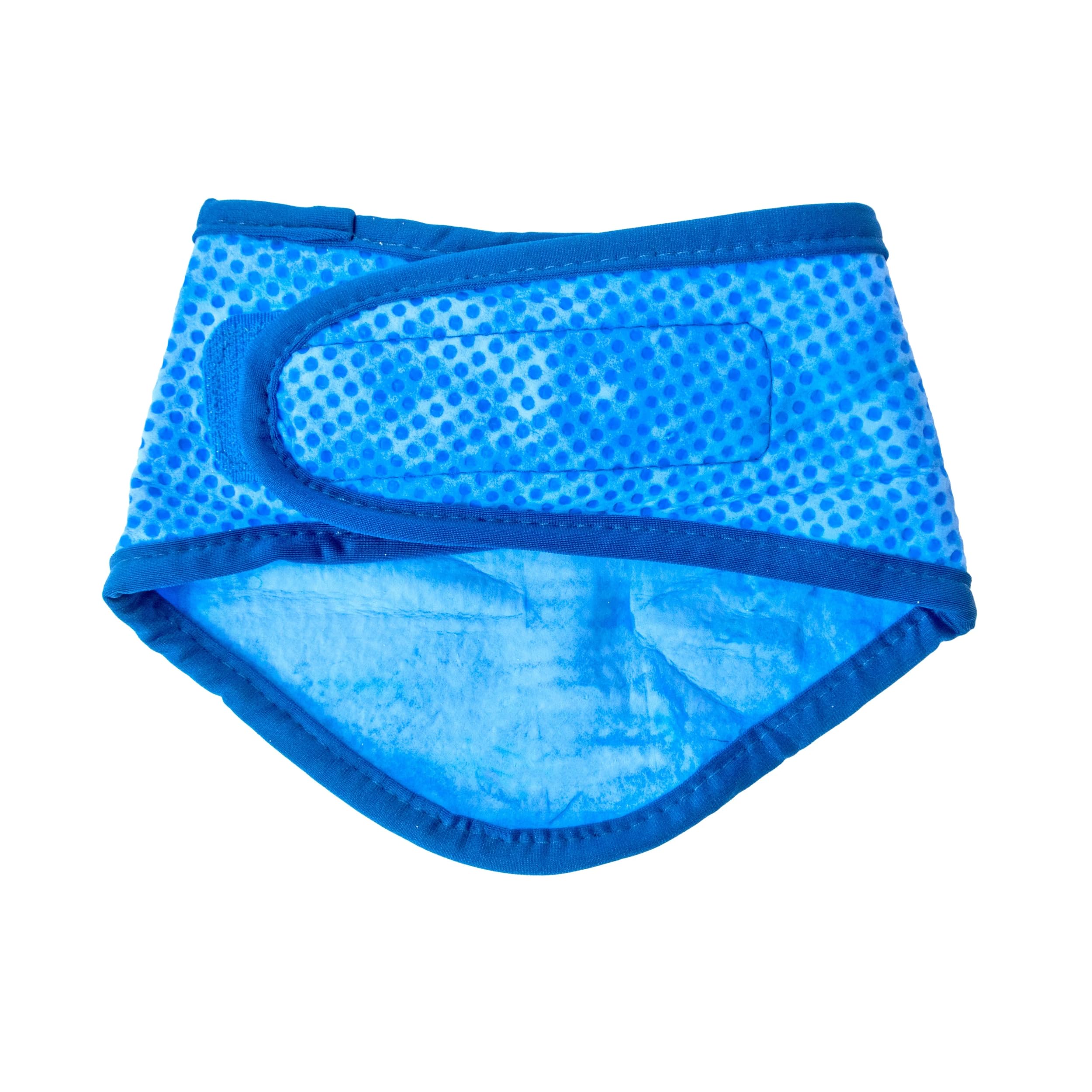 Gf Pet Ice Dog Bandana, Small/Medium