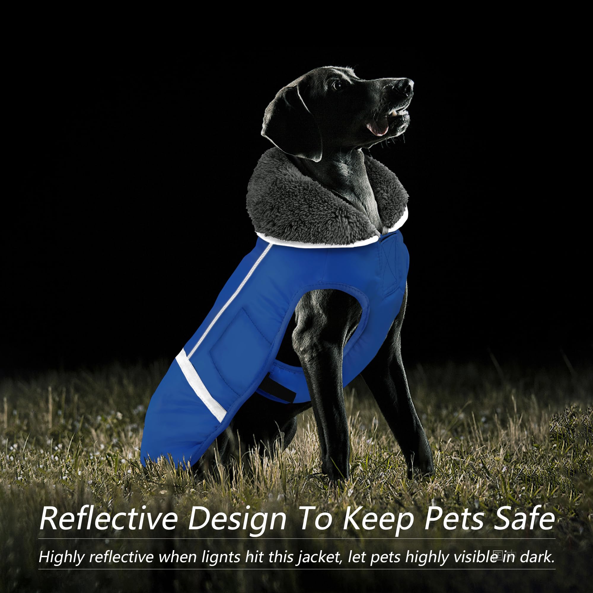 Dogcheer Dog Coat - Waterproof, Adjustable Winter Coat With Buckle, Reflective, Windproof, Snow Jacket, Fleece Sweater For Small