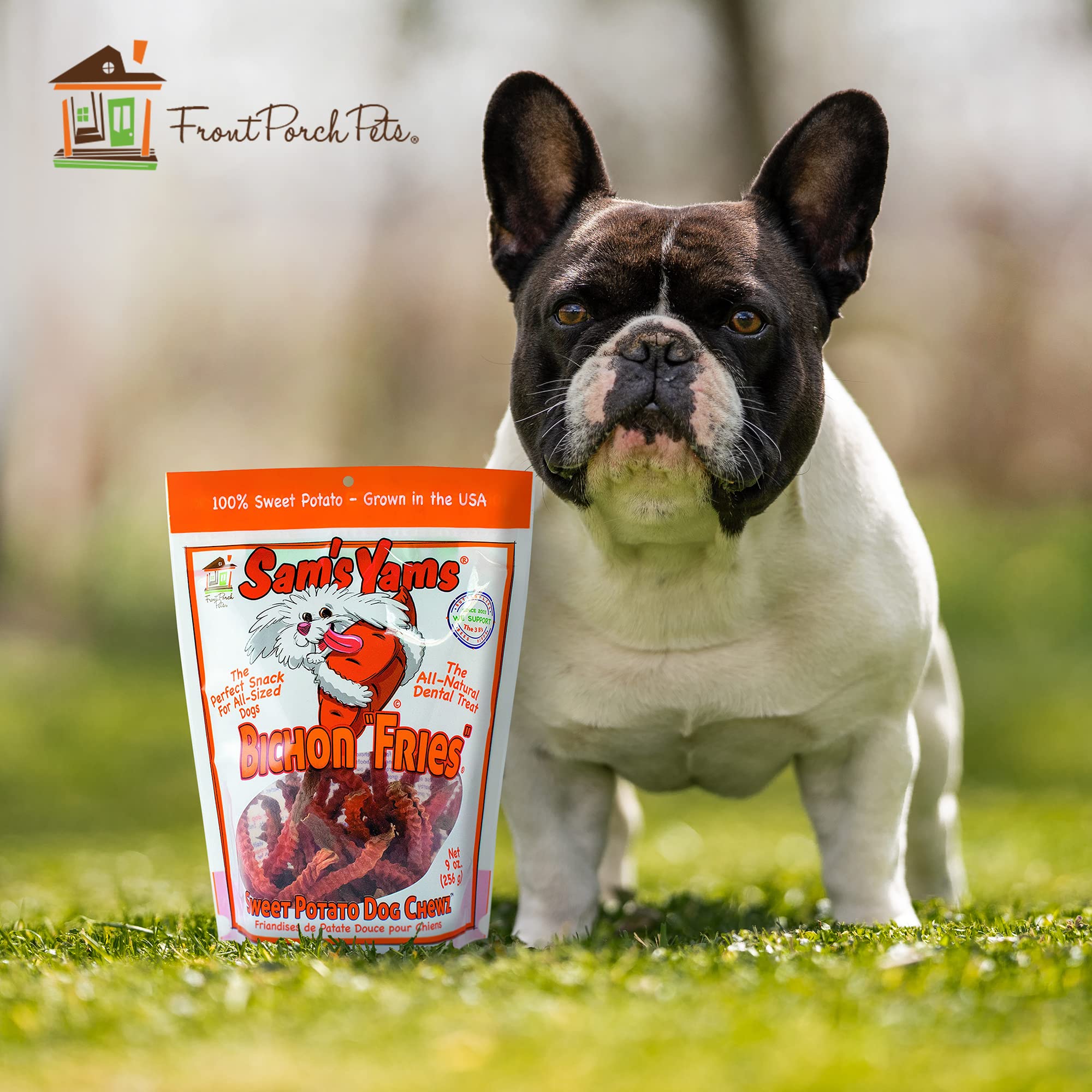 Sams Yams Sweet Potato Dog Treats, Healthy Dog Treats for Small & Medium Dogs, Sweet Potato Dog Treats Made in USA, High Fiber,