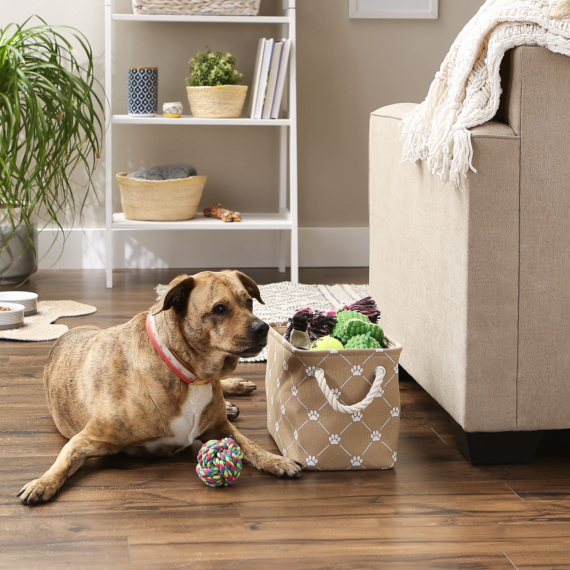 Bone Dry Pet Storage Paw and Bone, Trellis Collection, Small Rectangle, 14x8x9, Taupe