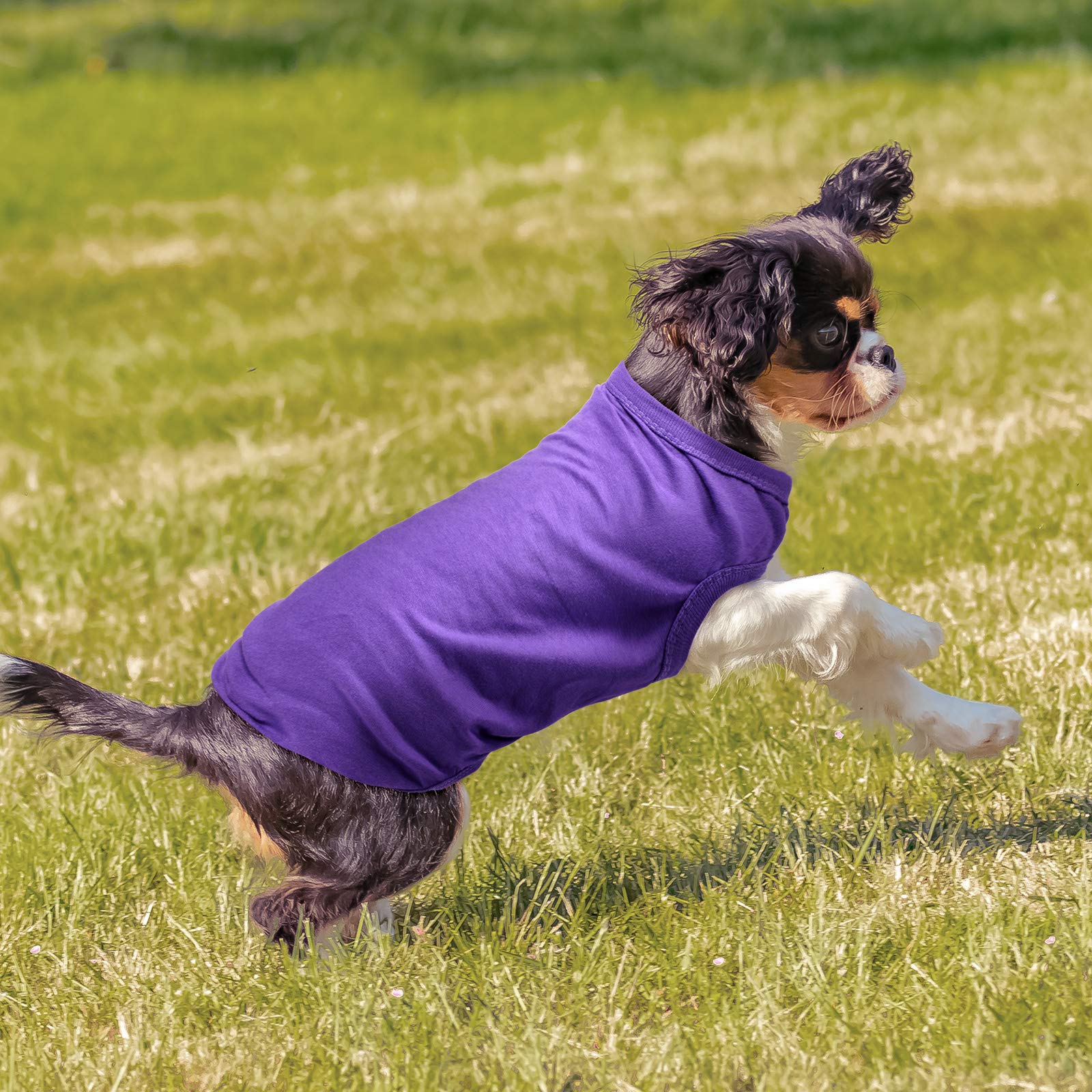 8 Pcs Dog Shirts Pet Puppy Blank Clothes Soft Dog T-Shirt Breathable Dog Plain Shirts Cotton Puppy Clothes Outfit For Most Dogs Cats Puppy Pet(S)