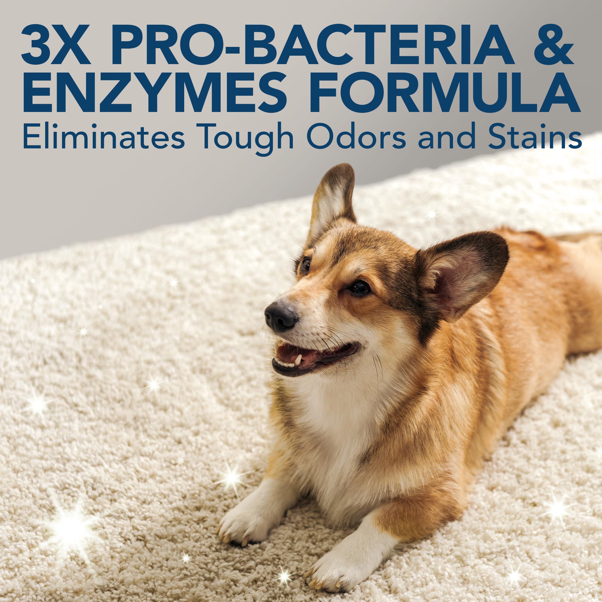 Simple Solution Extreme Pet Stain And Odor Remover | Enzymatic Cleaner With 3X Pro-Bacteria Cleaning Power | 1 Gallon , 128 Fl Oz (Pack Of 1)