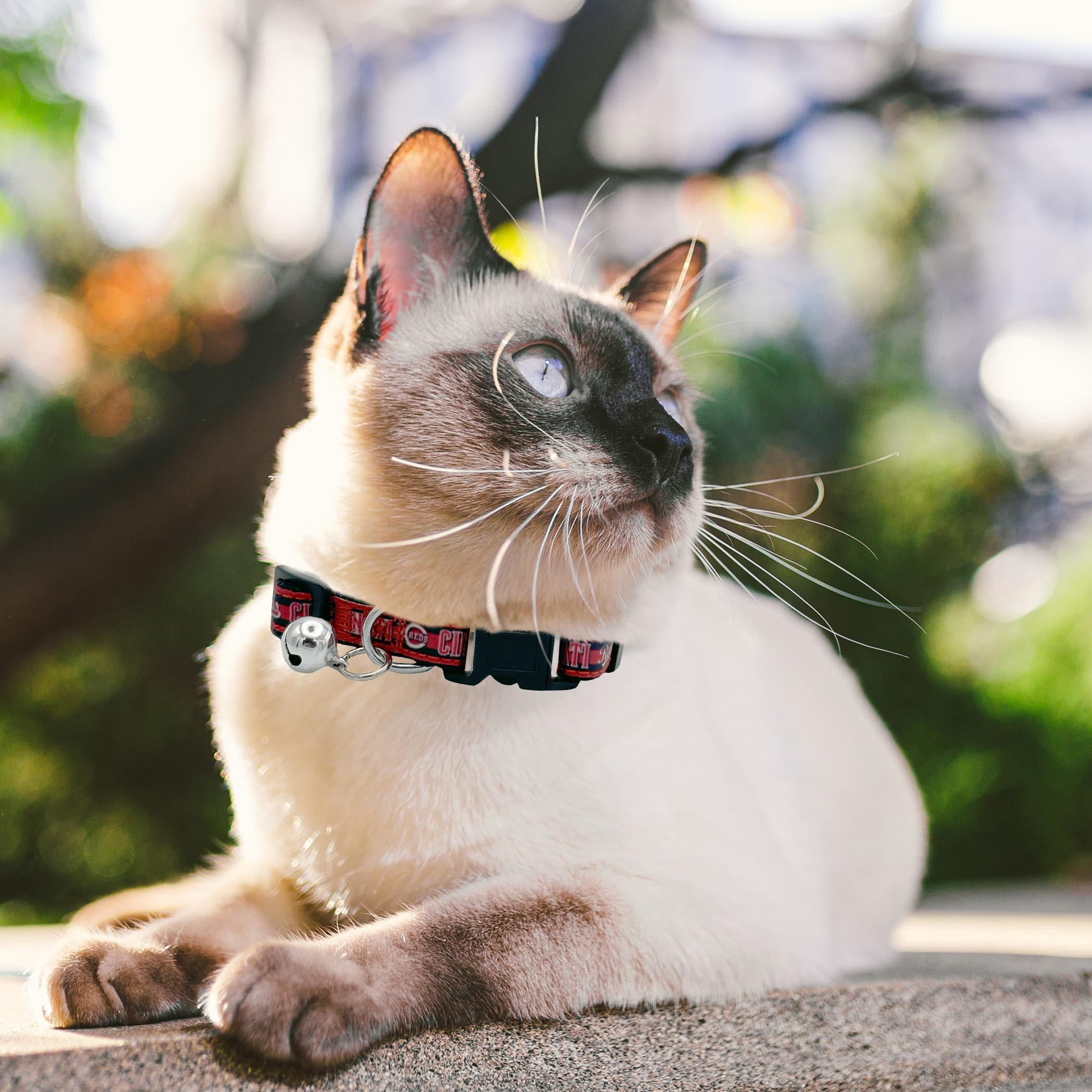Mlb Cat Collar Cincinnati Reds Satin Cat Collar Baseball Team Collar For Dogs & Cats. A Shiny & Colorful Cat Collar With Ringing