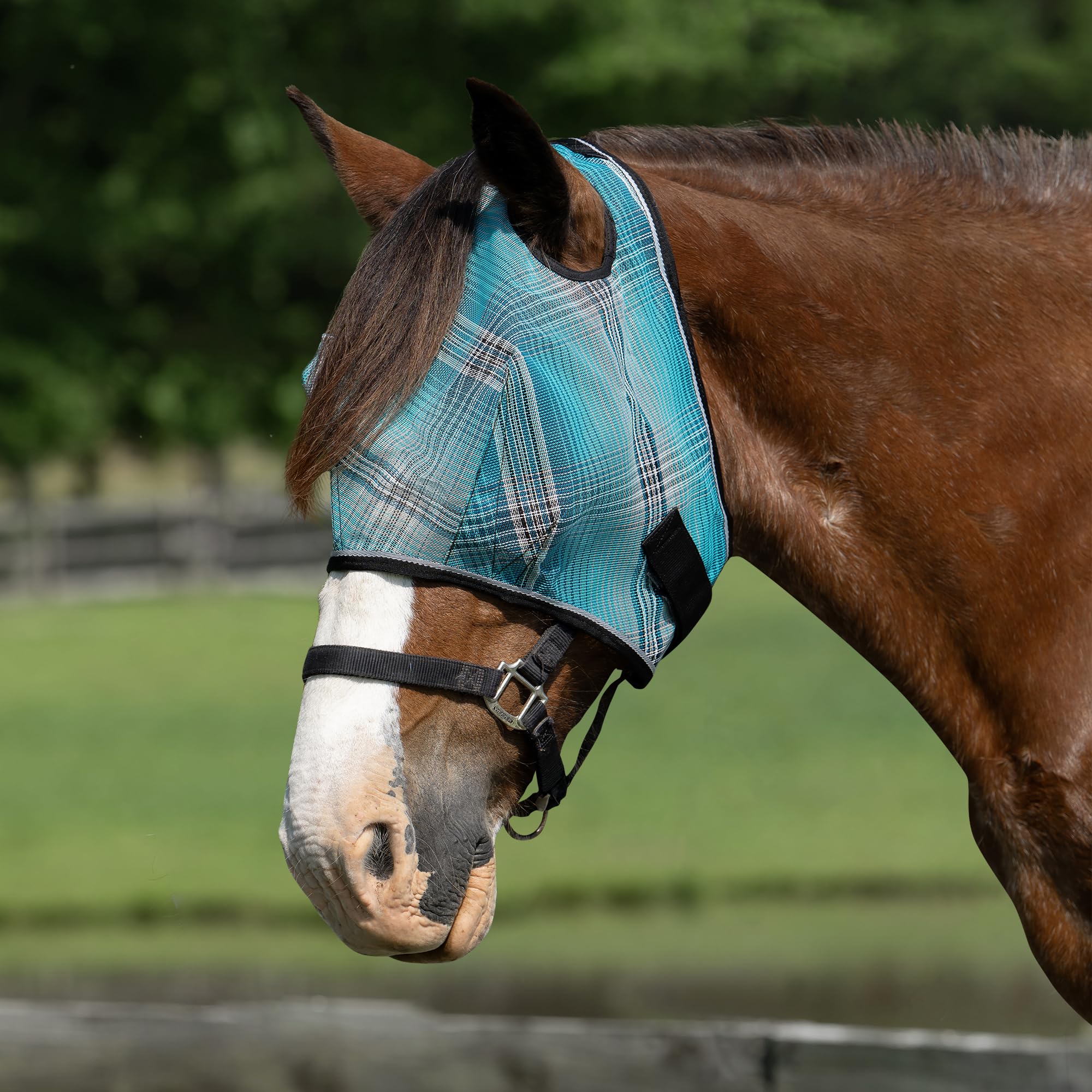 Kensington UV Horse Fly Mask with Web Trim - Protective Mask with Dual Ear Opening & Forelock Freedom - XXLarge, Atlantis