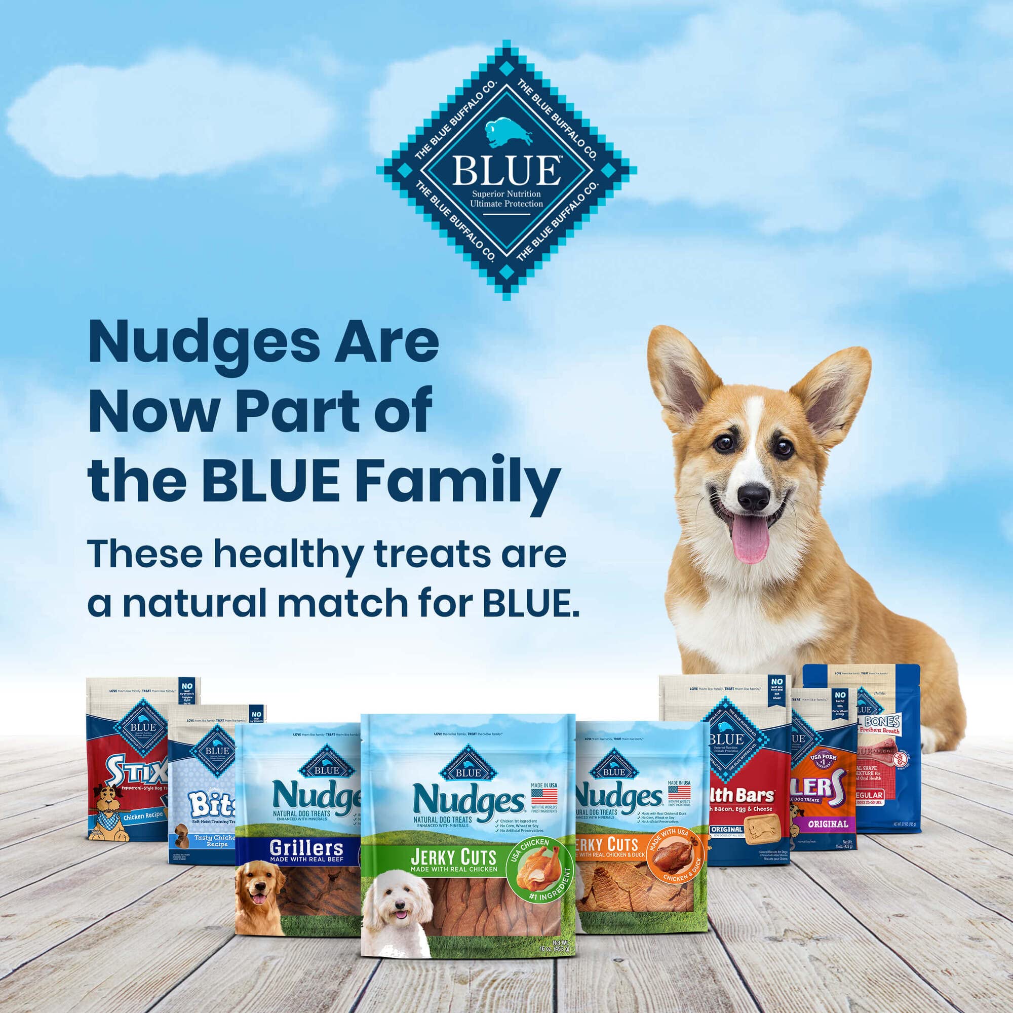 Blue Buffalo Nudges Homestyle Natural Dog Treats, Beef and Rice, 16oz Bag