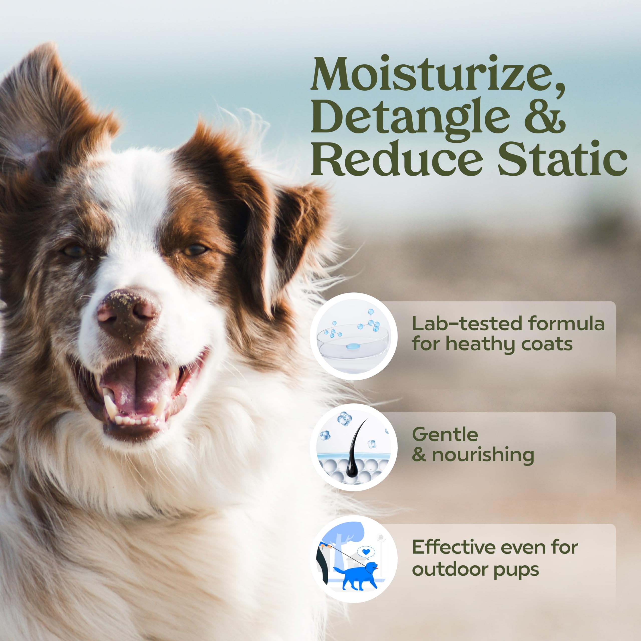 Pawfume Dog Perfume Spray For Grooming, Blue Ribbon, 1-Pack - Keep Your Pup Fresh All Day - Probiotic, Alcohol-Free, Detangling