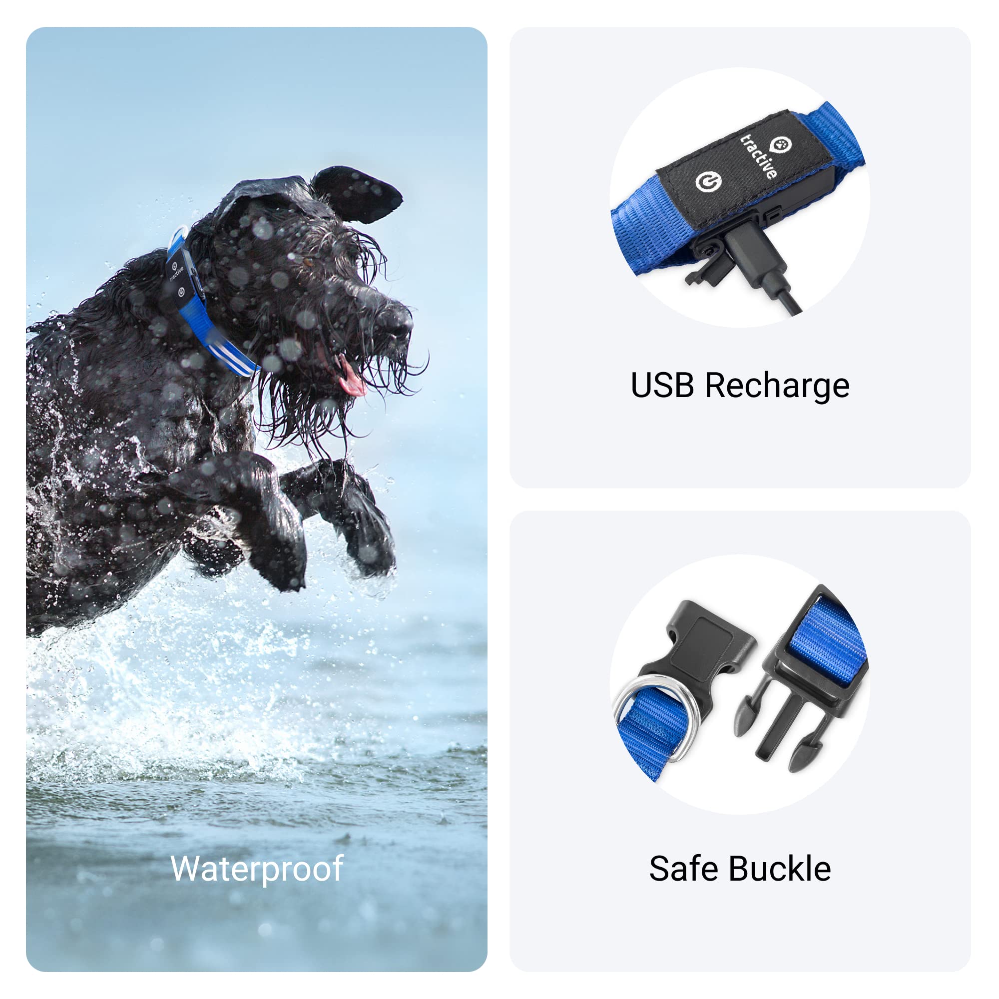 Tractive Led Light Up Dog Collar Usb Rechargeable Waterproof (Blue), Medium