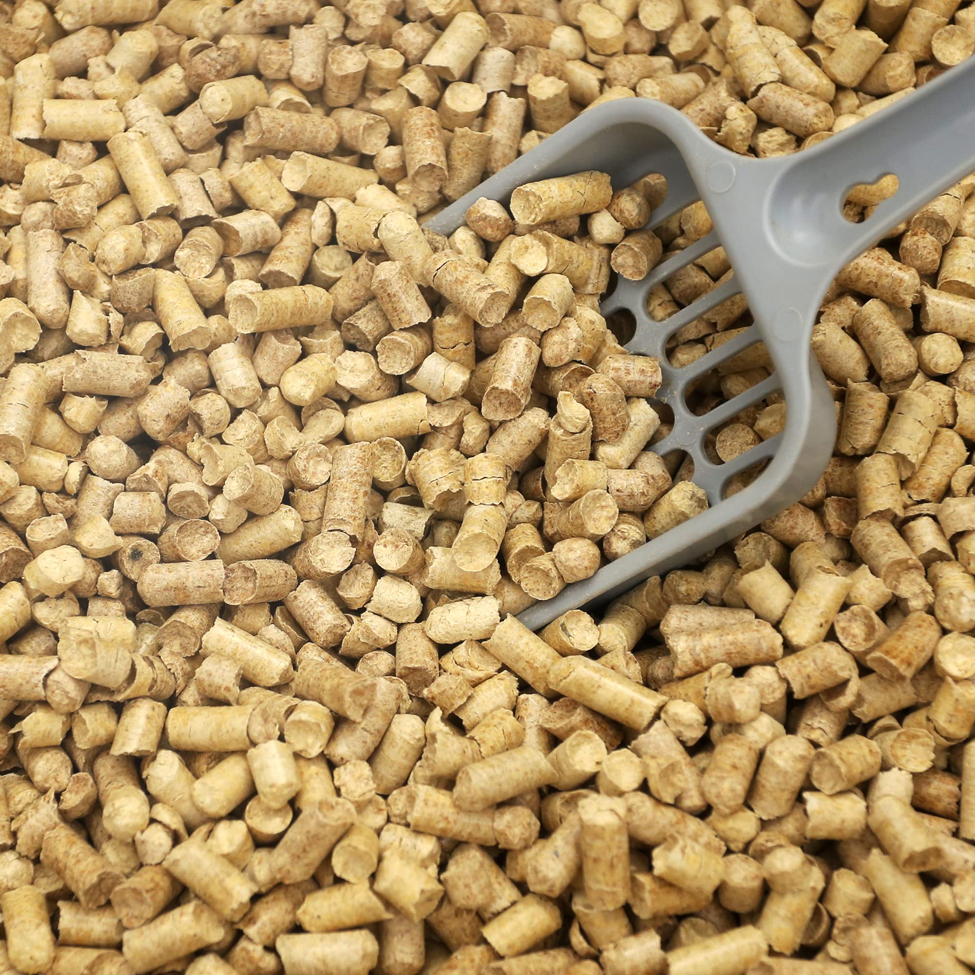 Casual Home 100% Natural Pine Wood Non-Clumping Cat Litter Wood Pellets