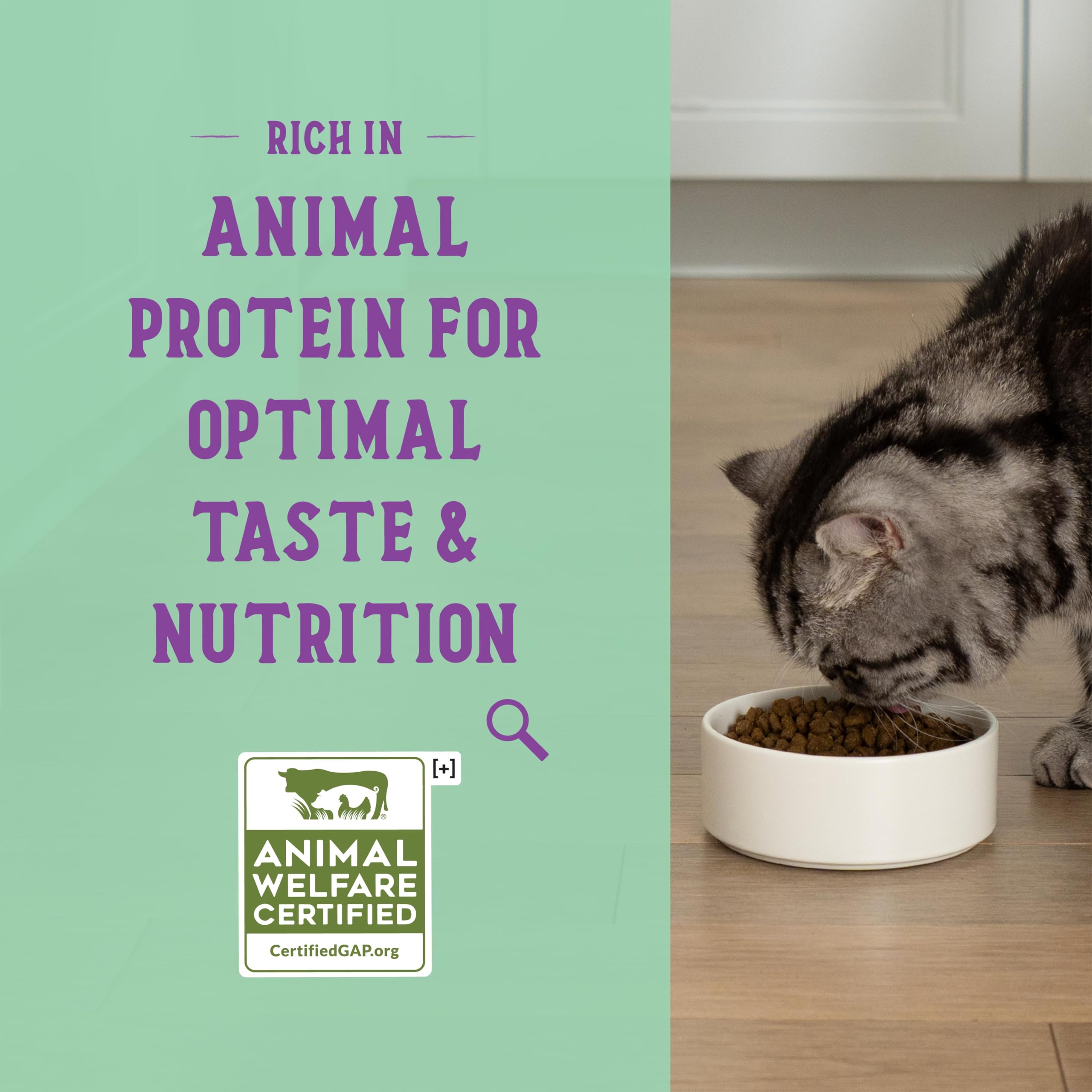Open Farm Goodbowl, Protein Rich Dry Cat Food Made from Meticulously Sourced Simple Ingredients, Harvest Chicken & Brown Rice Re