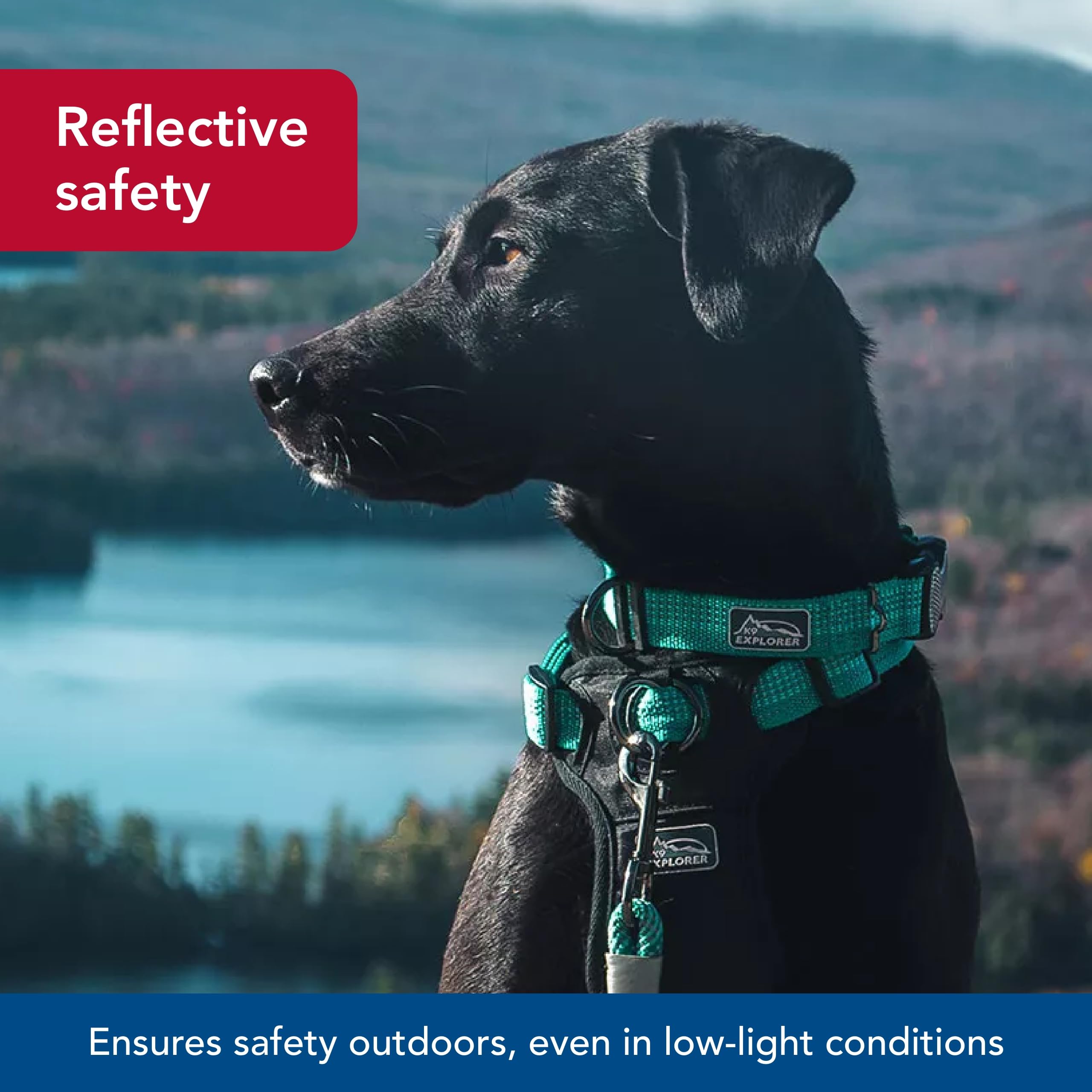 Coastal Pet - K-9 Explorer - Brights Reflective Adjustable Dog Collar, Desert, 5/8'' x 08''-12''