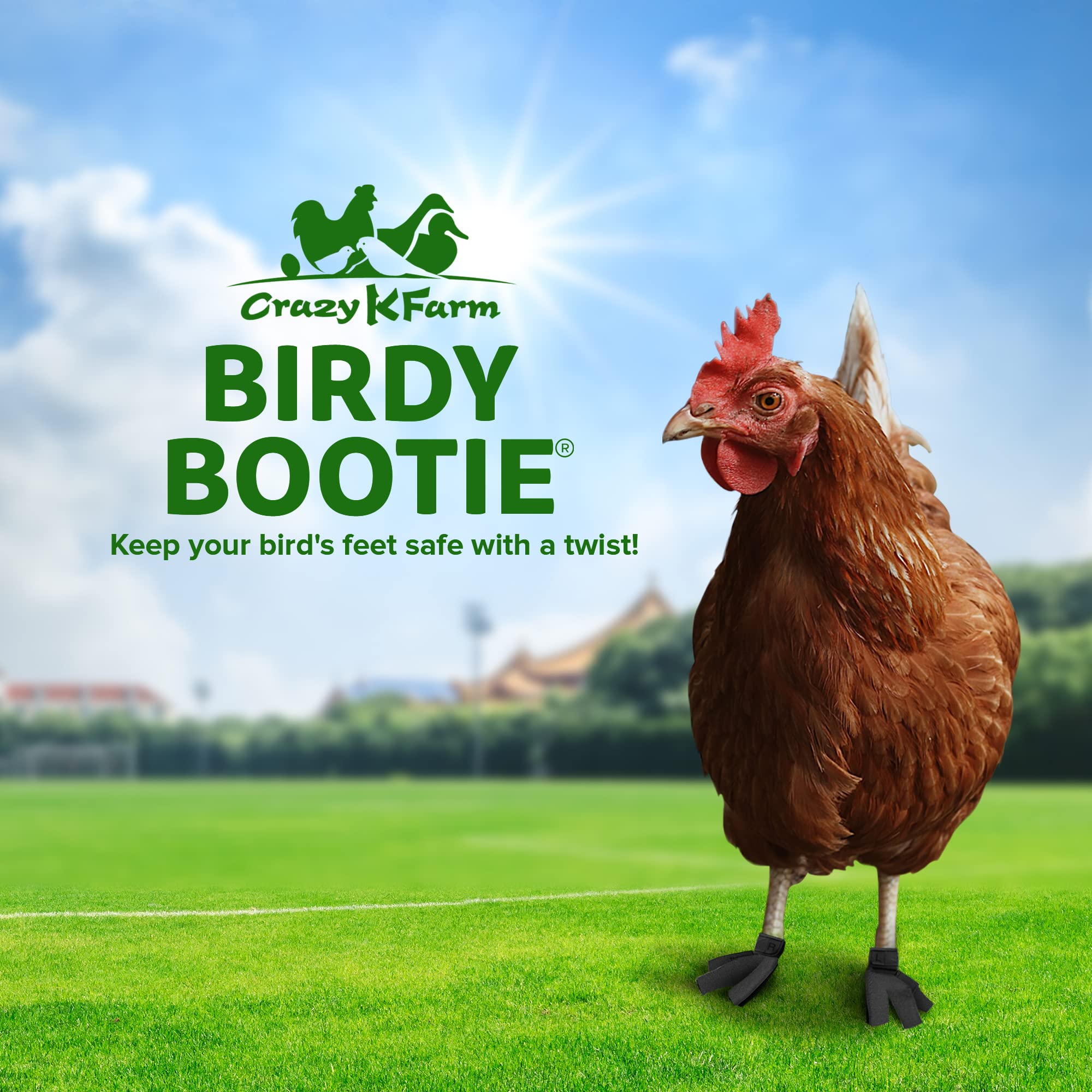 Birdy Bootie Chicken Shoes for Injured Feet - Protective Neoprene Footwear for Chicken, Open-Toe Design for Bumblefoot Relief, M