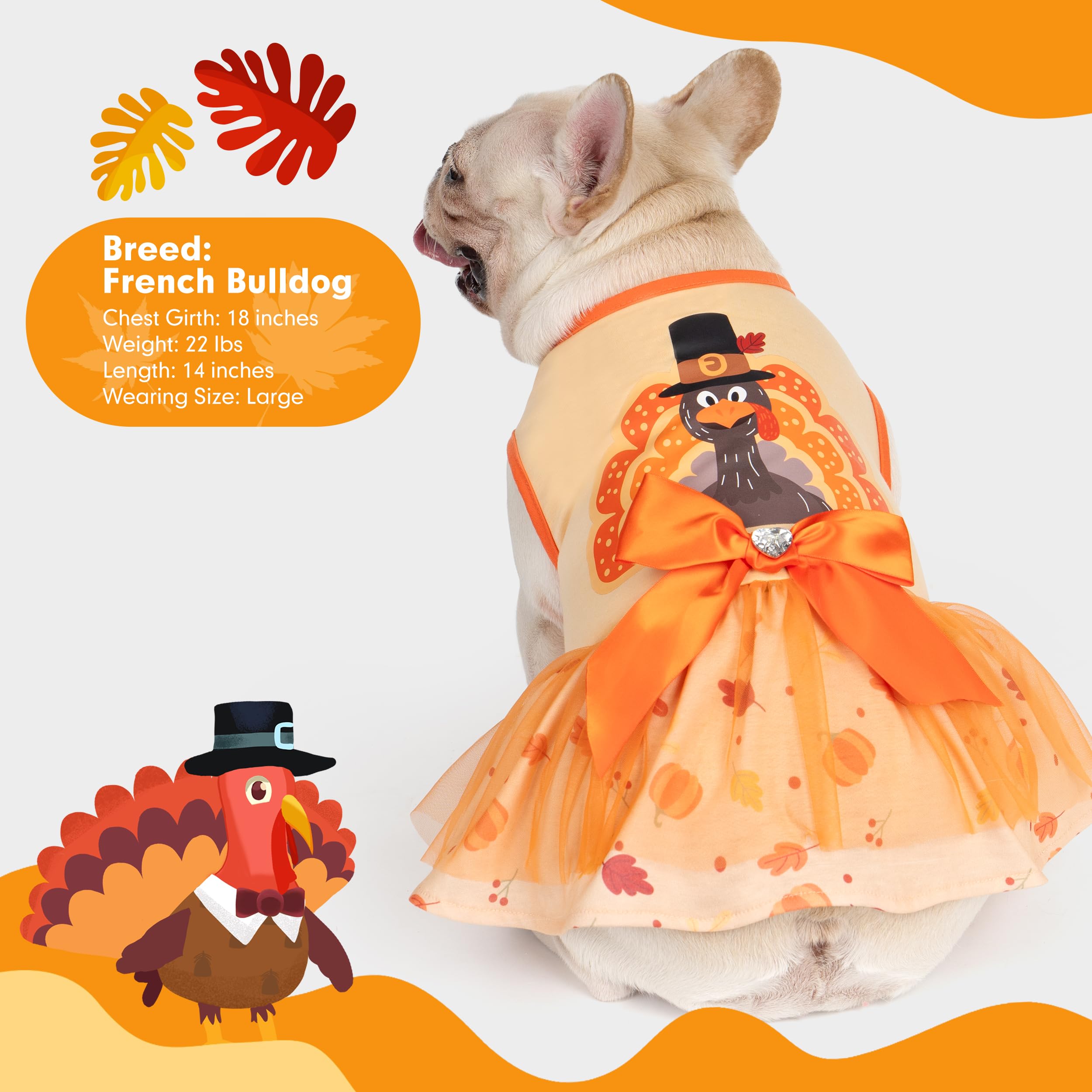 Cyeollo Thanksgiving Day Dog Dress - Turkey Small Puppy Clothes, Tulle Dresses, Pet Costumes, Holiday Outfit For Girls, Size M