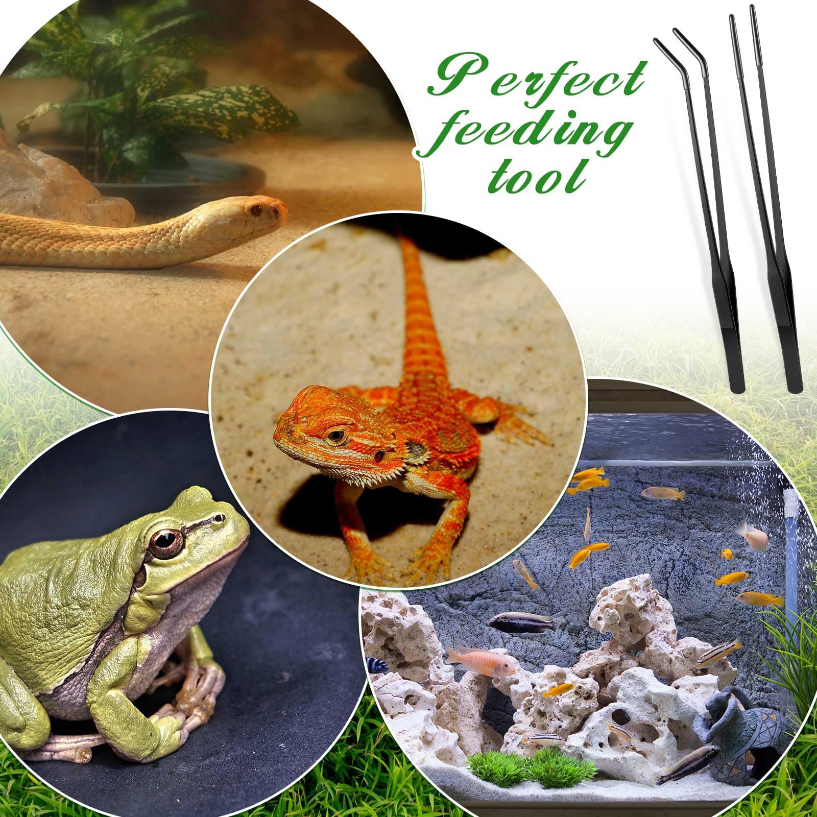 Lasnten 2 Pcs Extra Long Stainless Steel Reptile Feeding Tongs with Rubber Tip Bearded Dragon Aquarium Straight and Curved Long