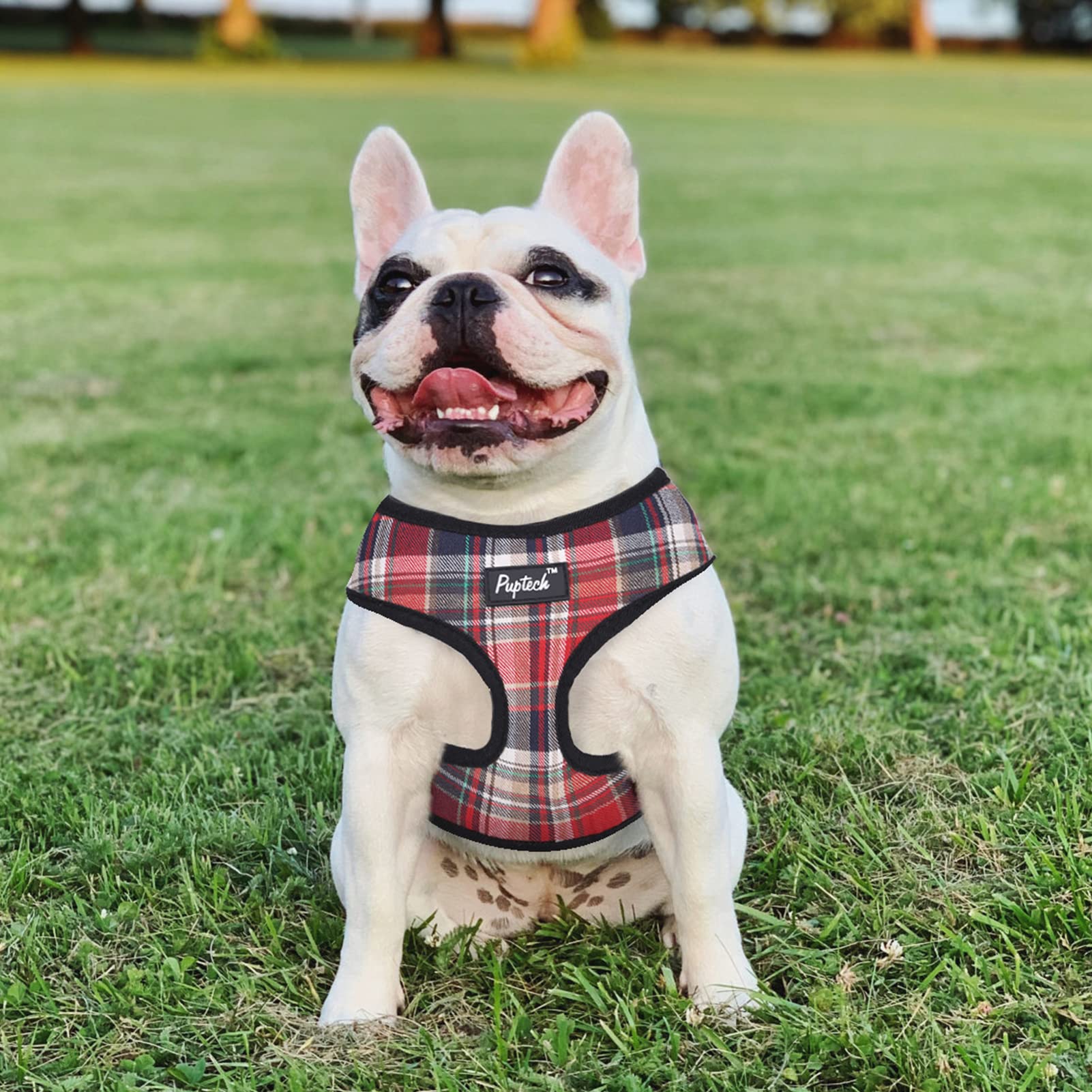 PUPTECK Soft Mesh Dog Harness, No Pull Padded Vest, Small, Red Mix, Model PUP22DHS07-S-Red