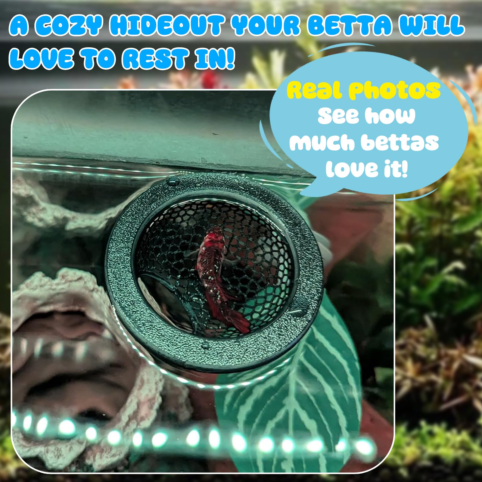 Floating Betta Hide & Shrimp Cave - 3D Printed Aquarium Decor, Multi-Functional Hammock, Feeding Ring & Safe Resting Spot for Be