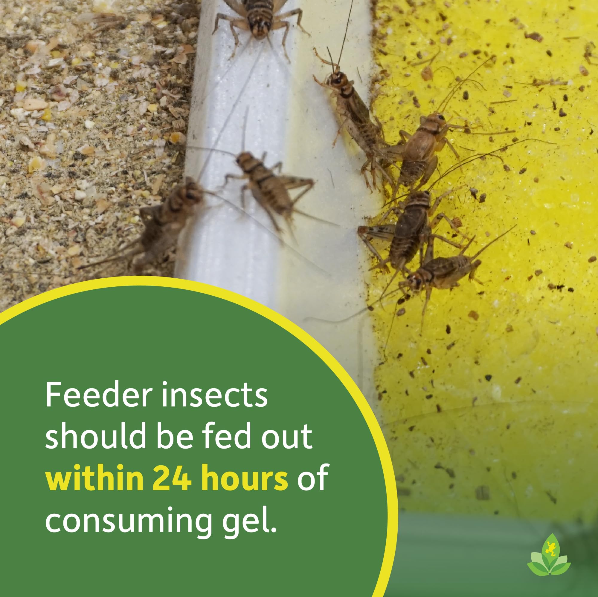 Joshs Frogs Calci-mMm Insect Gutloading Gel with Calcium (1 Gallon)