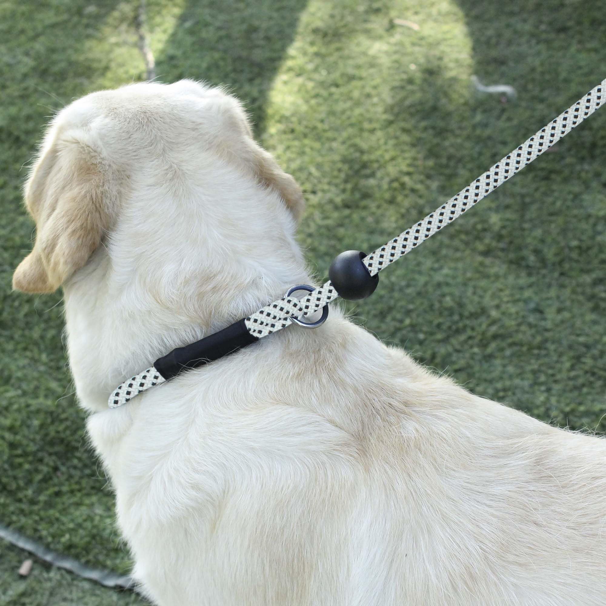 Hiado Slip Lead Dog Leash With Stopper Loop Rope Training No Pull For Small Medium Large Dogs 5Ft Black Dot
