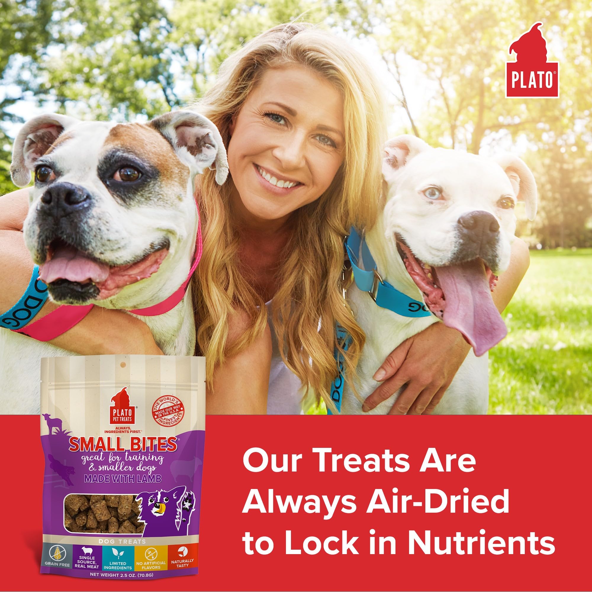 PLATO Pet Treats Small Bites - Air-Dried Training Treats for Dogs - Supports Healthy Digestion - Limited Ingredients - Lamb 6oz