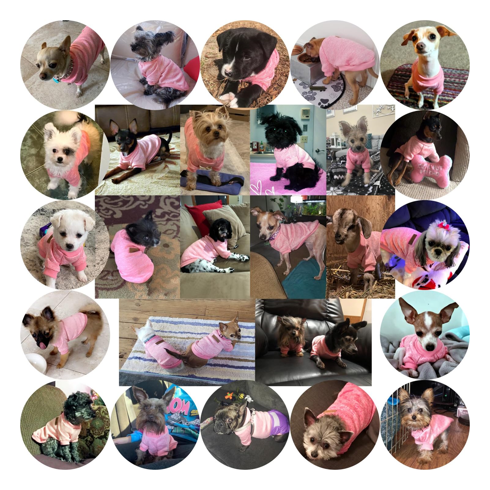 Chborless Small Dog Sweater Warm Winter Puppy Pet Coat Soft Sweater Clothes For Small Dogs Outfit (L, Pink)