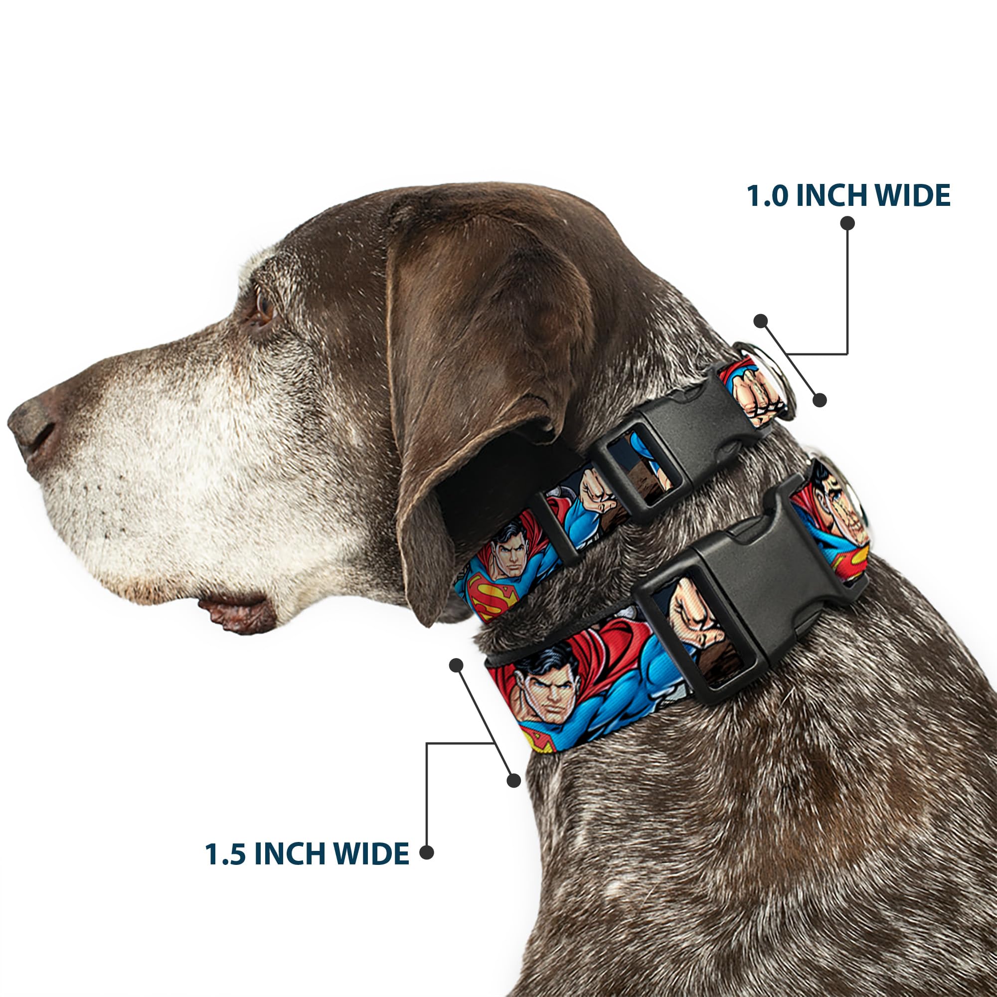 Dog Collar Plastic Clip Superman Metropolis Face Off 6 To 9 Inches 0.5 Inch Wide