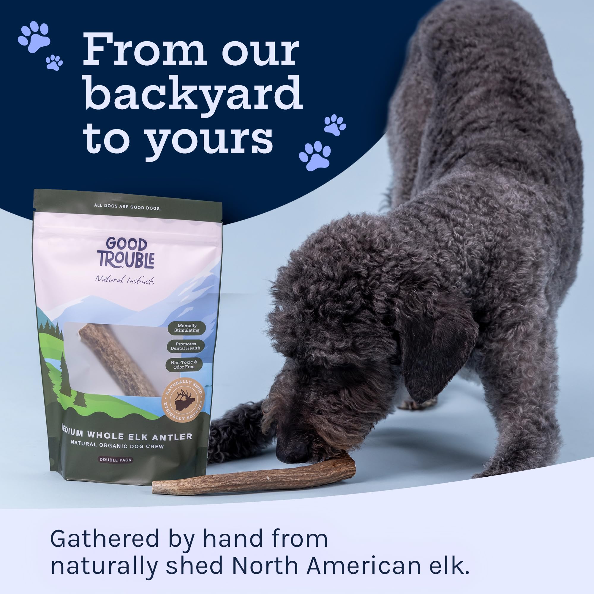 Good Trouble Premium Elk Antlers For Large Dogs - 2 Pack Split Pets - All-Natural, Shed Antler Chews For Dental Health & Calming
