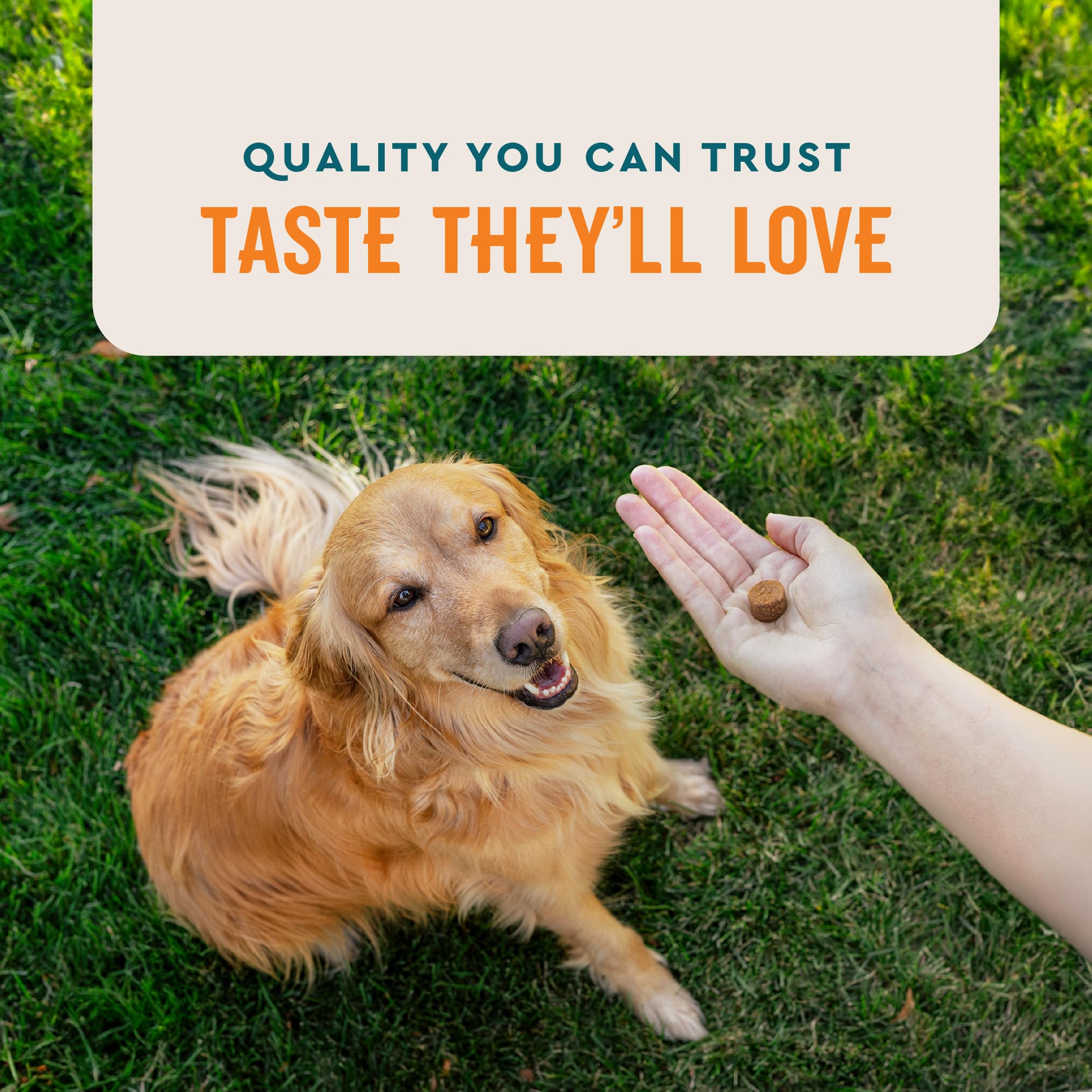 VetIQ Skin and Coat Supplement for Dogs, Helps Maintain Healthy Skin and Shiny Coat, Hickory Smoke Flavor Dog Chew, 60 Count