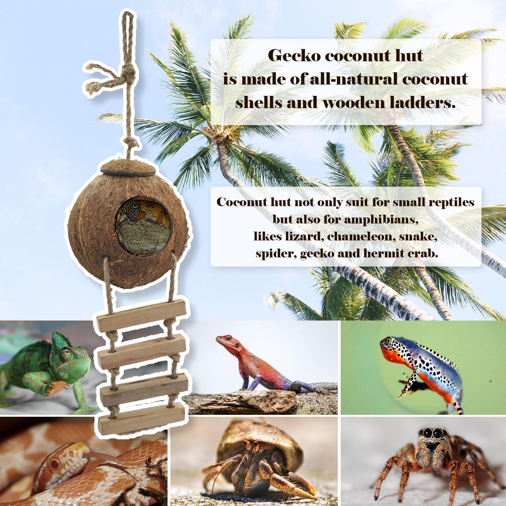 Muyg 5Pcs Coconut Hut For Gecko, Lizard Coco Den With Ladder And Reptile Hammock Bearded Dragon Tank Accessories Climbing Hangin