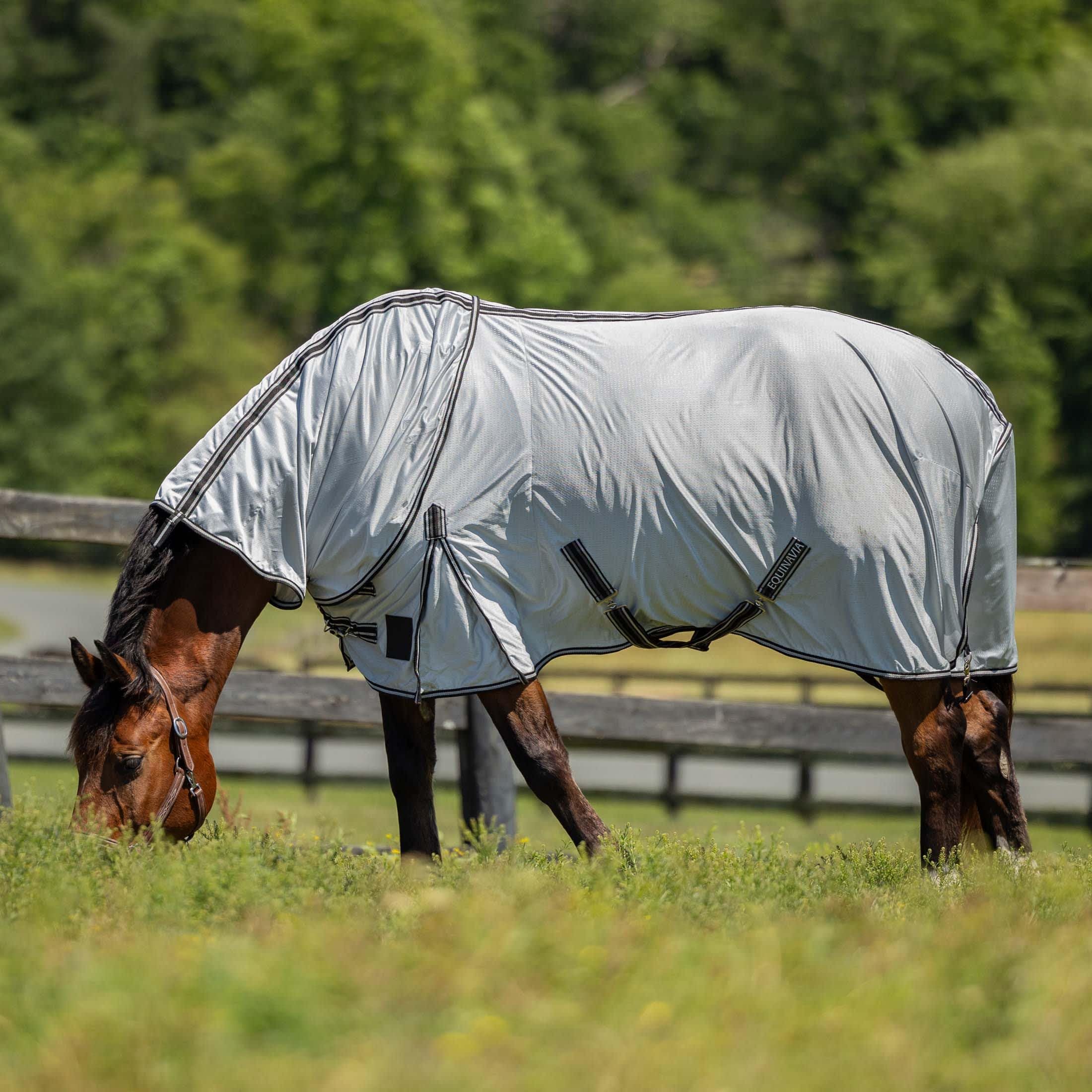 Equinavia Aktiv Athletic Detachable Neck Fly Sheet | Ultralight Poly Fabric | Extended Protection - Silver Gray - 81 In