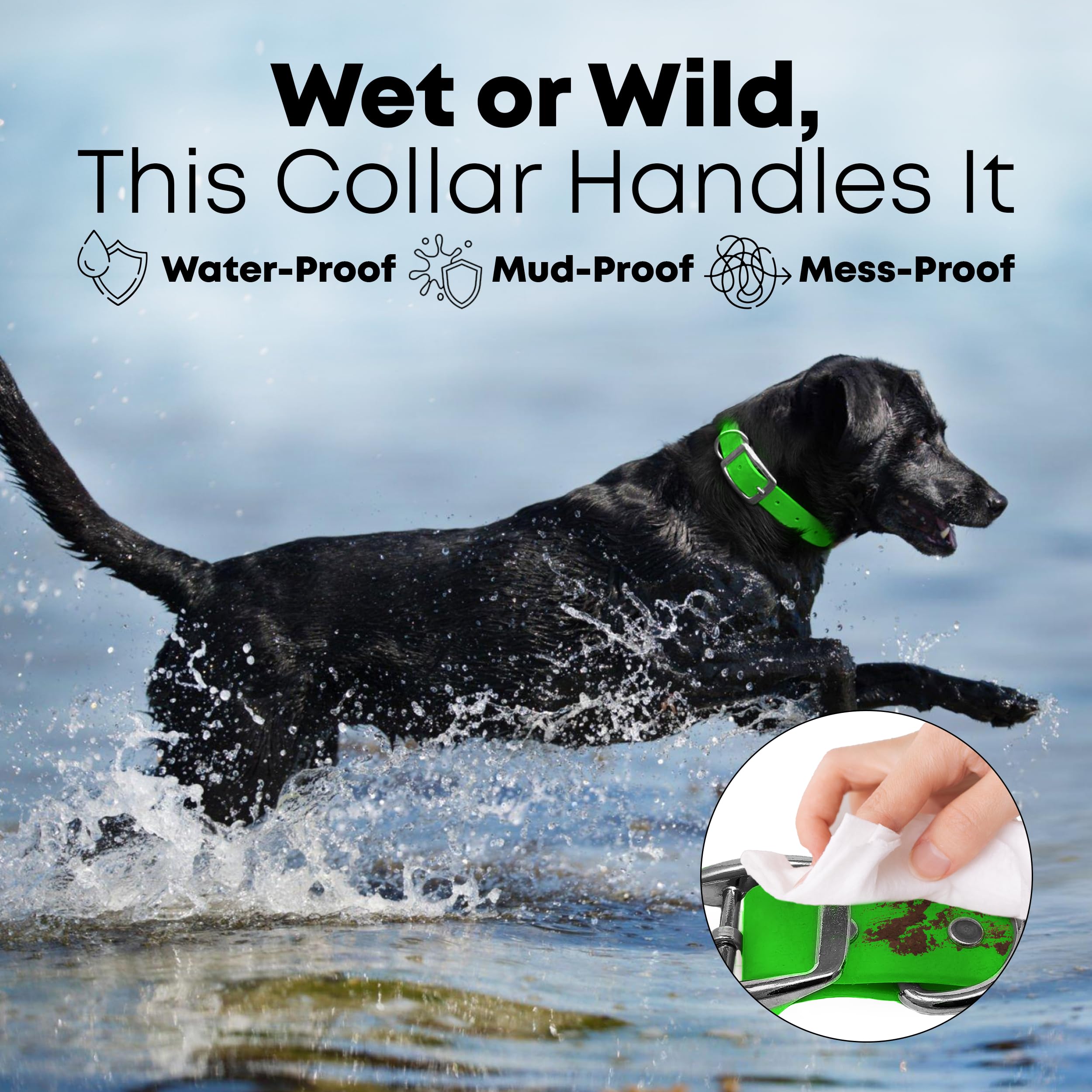 Regal Dog Products Medium Light Green Waterproof Dog Collar and Leash Set | Heavy Duty Double Buckle & D Ring - 5'ft Leash | Adj