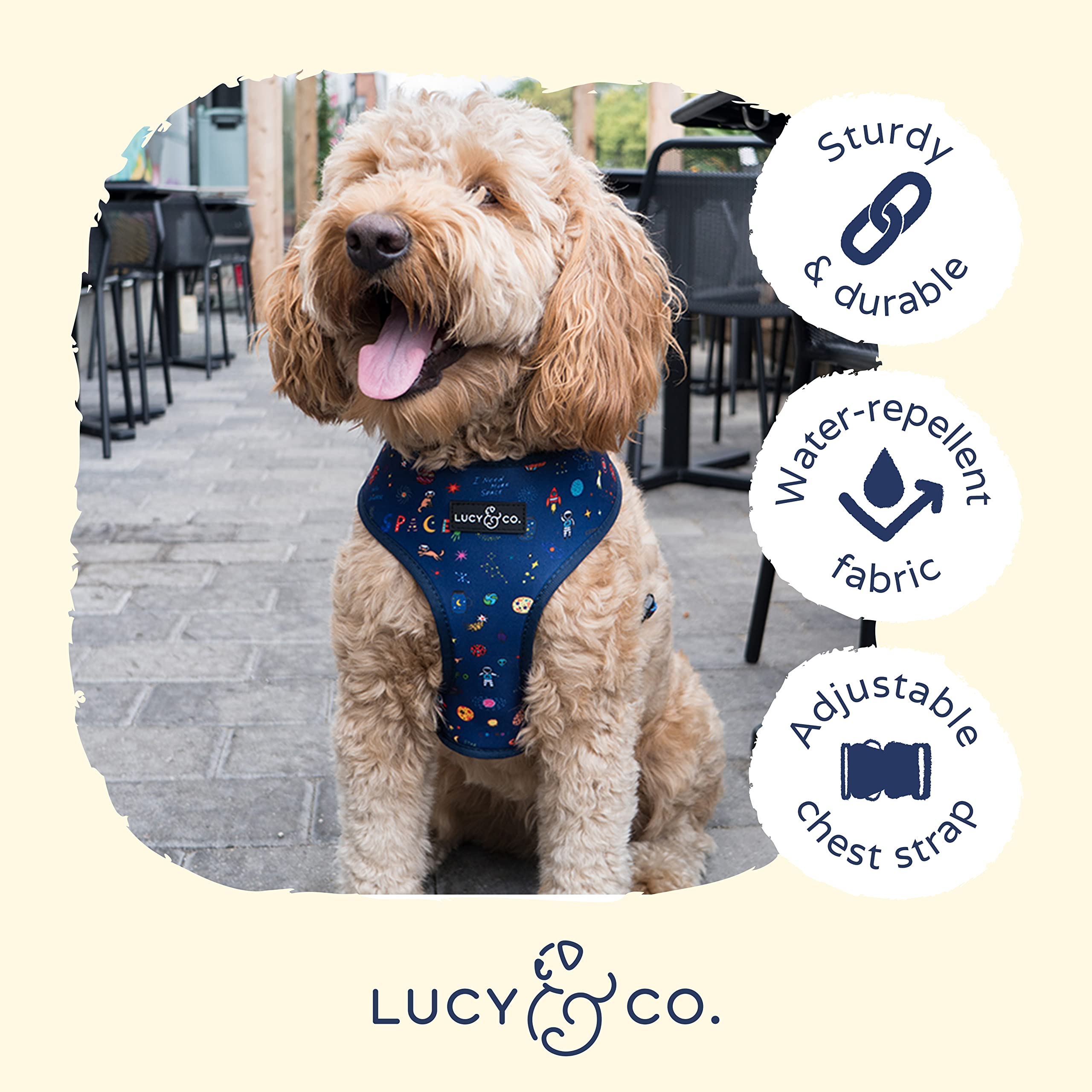 Cute Reversible Dog Harness Walking Halter - Best Designer Pet Harnesses For Medium Dogs - Padded Adjustable Vest For Easy Walking (X-Small, Space Doodle)