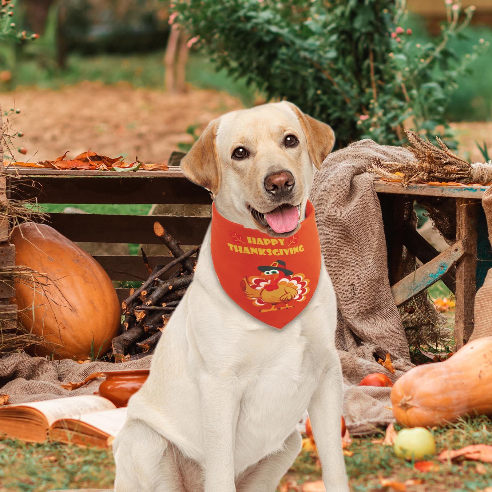 Gofshy Thanksgiving Dog Bandana Large 1Pcs, Triangle Reversible Holiday Scarf For Boy And Girl, Fall Autumn Bibs Accessories For