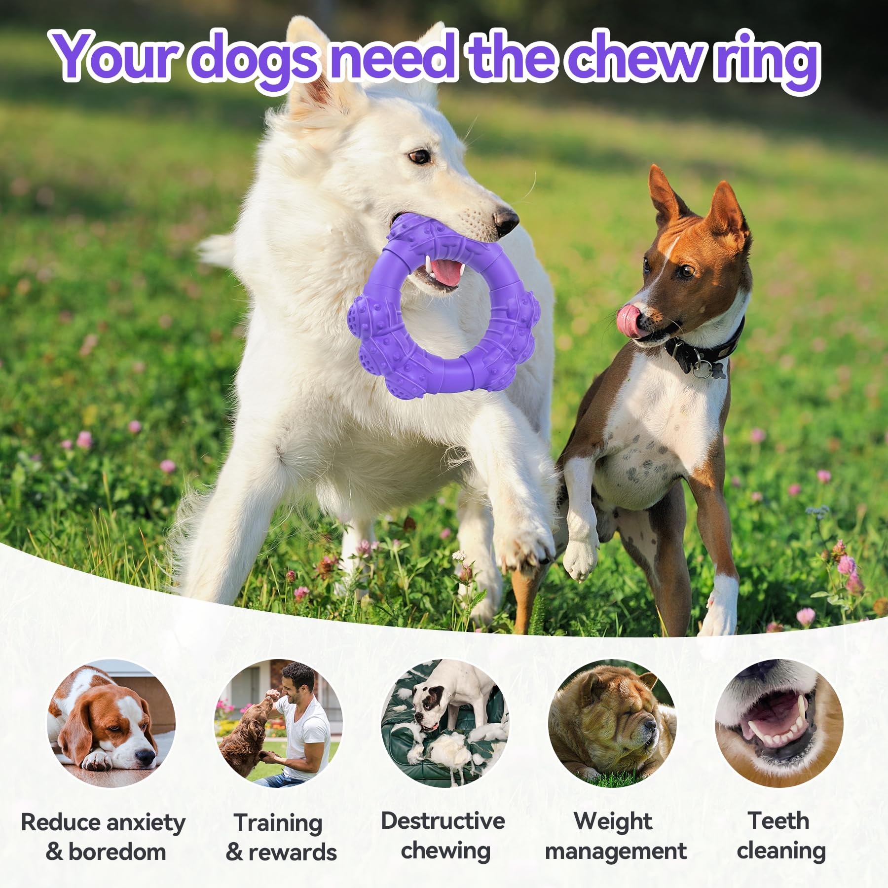 DAOZIJI Indestructible Dog Chew Toys for Aggressive Chewers, Super Chewer Toys for Medium Large Dogs, Interactive Ring Toy, Heav