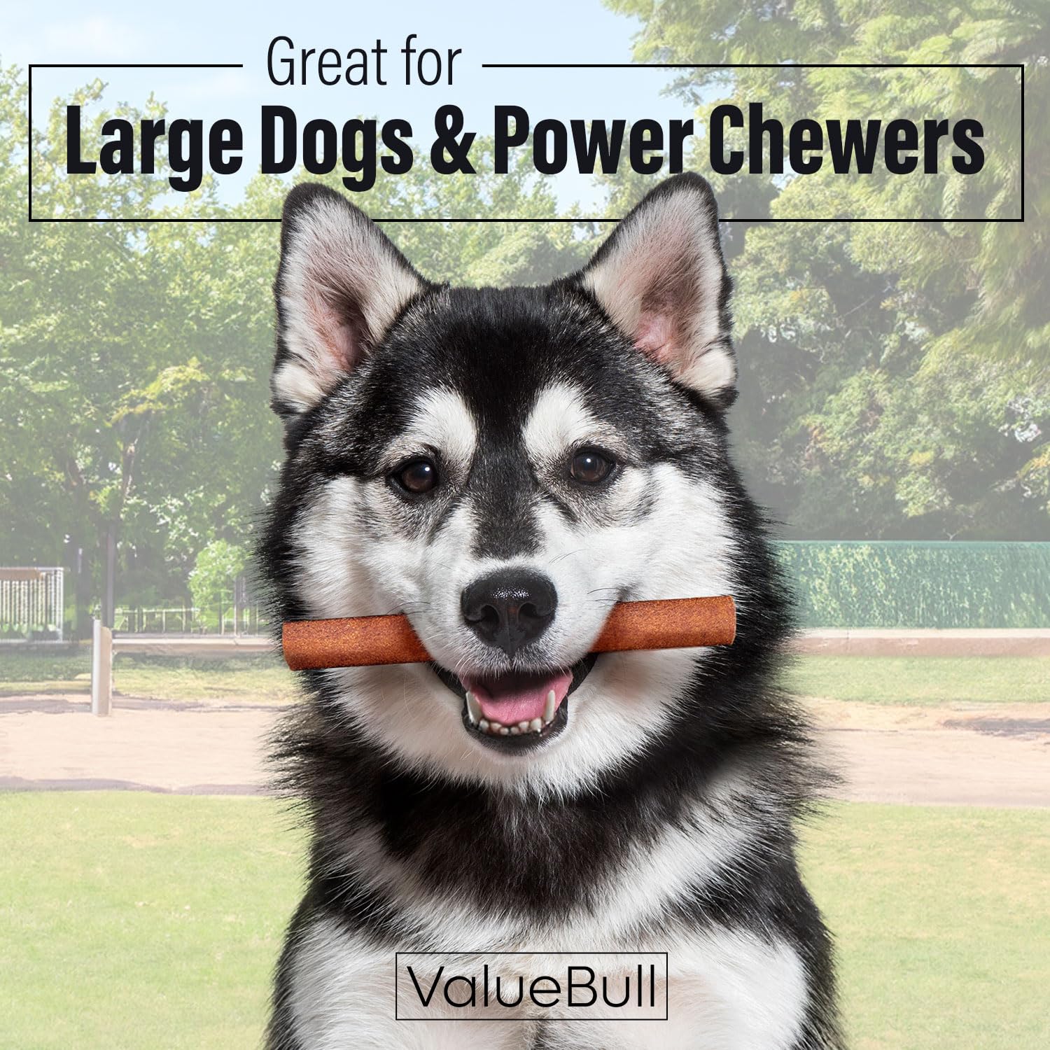 ValueBull USA Collagen Sticks for Dogs, 6 Inch Jumbo Chews, Natural Long-Lasting Dog Treats, 100 Count Bulk Pack - Supports Join