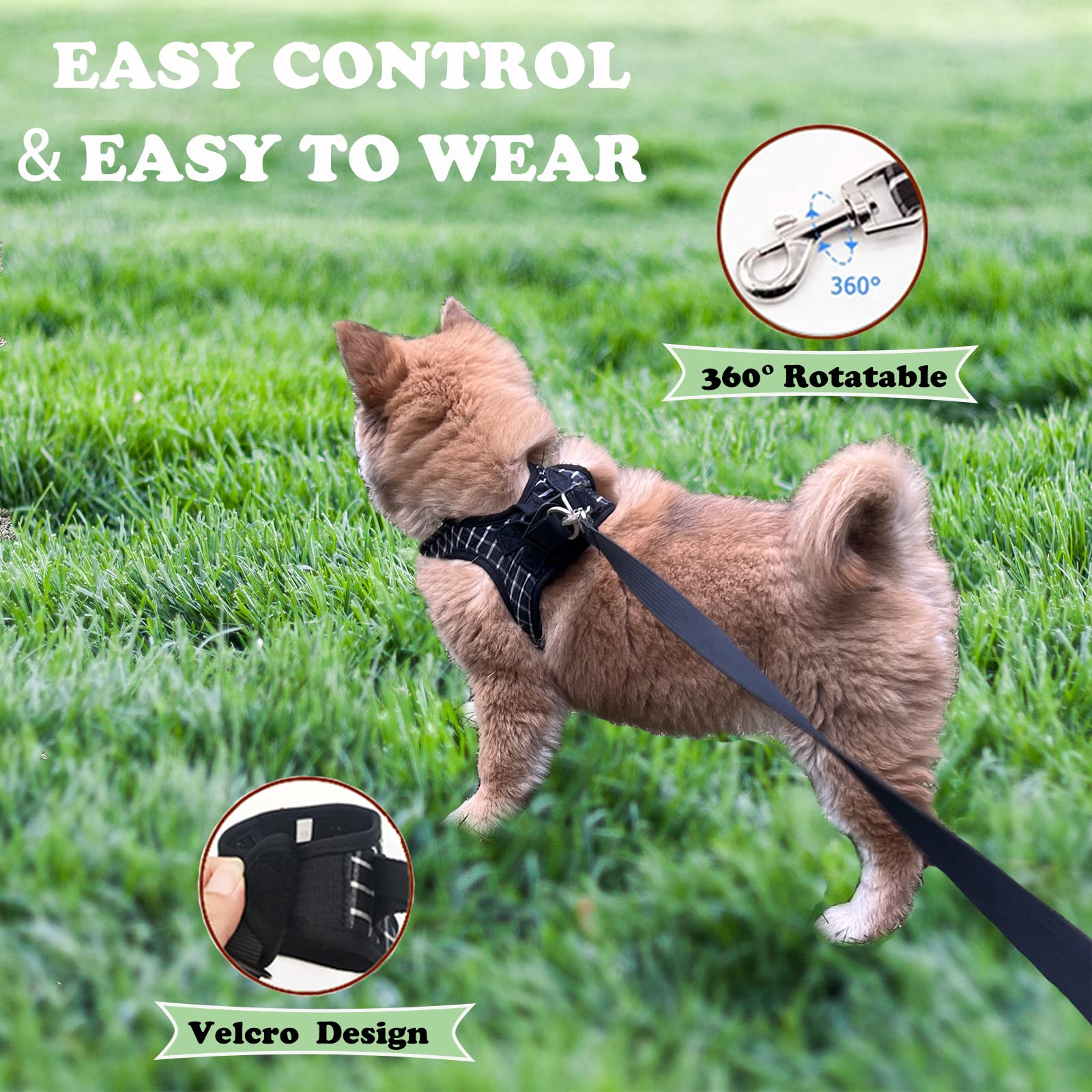 BLUWTE Cat Harness and Leash,Breathable Dog Harness,Pet Harness,Cats Leash and Harness Set for Puppy Cat Rabbit (Black, XS)