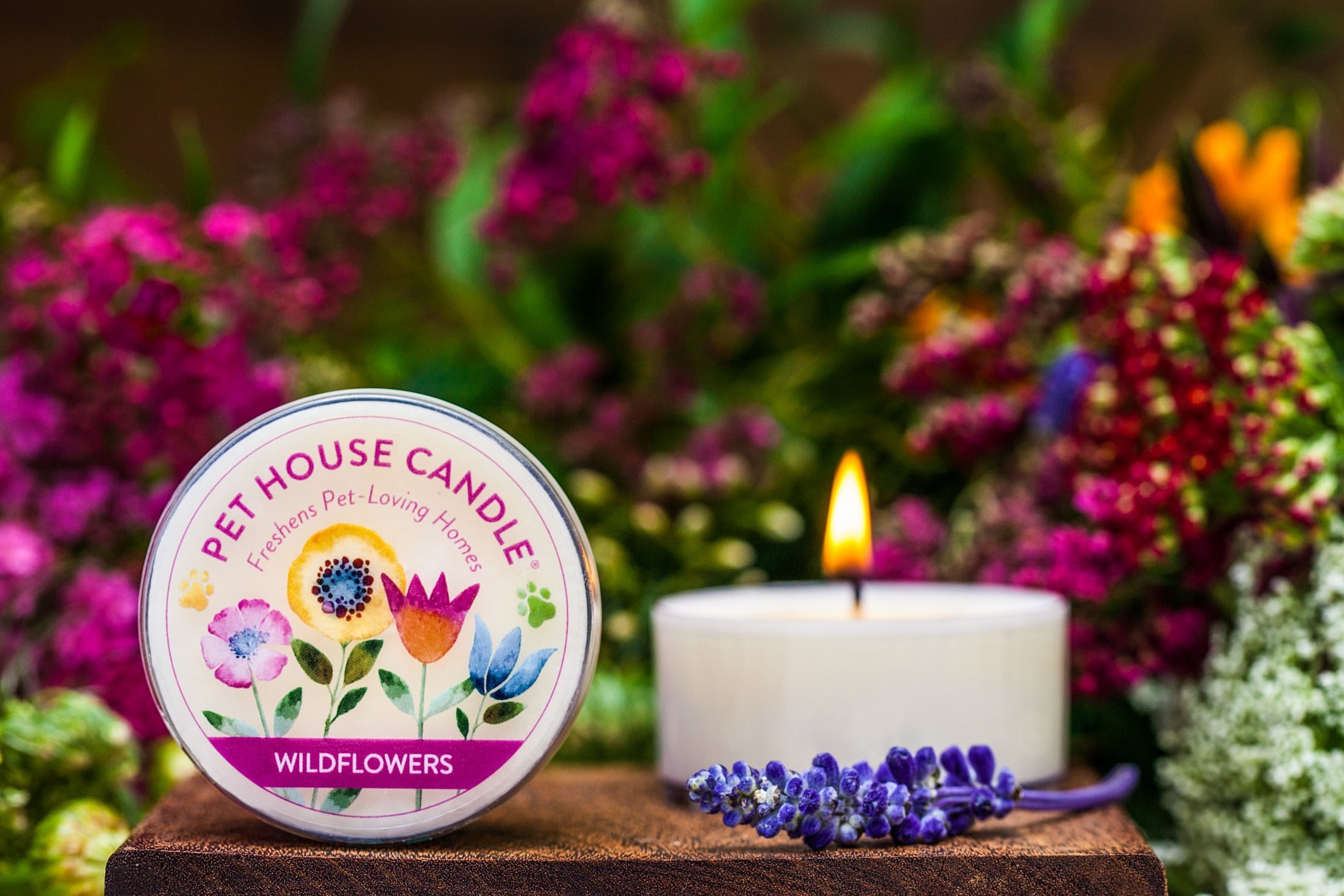 One Fur All Pet House Mini Candles Made With Natural Soy Wax, Plant Based, Pet Friendly Scented Candles, Citrus Variety Pack Of
