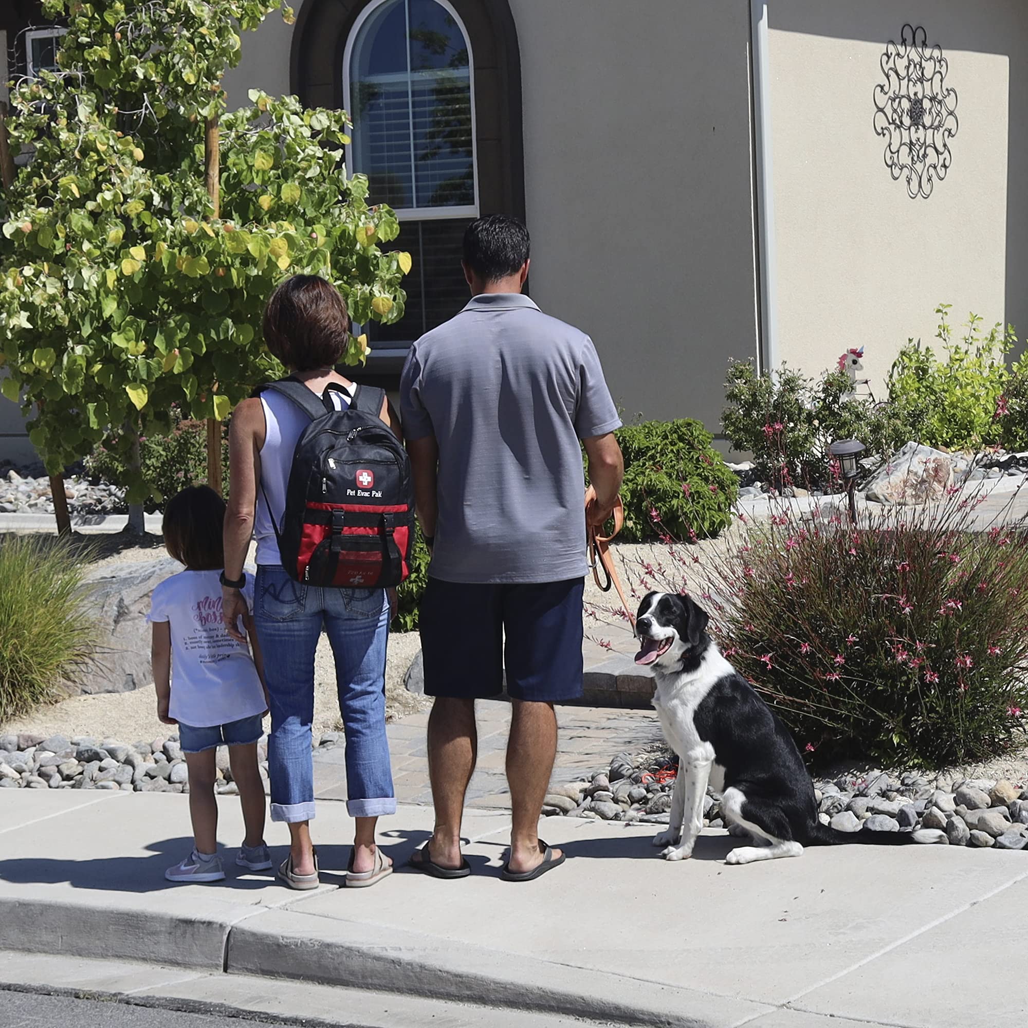 Pet Emergency Kit For Big Dogs