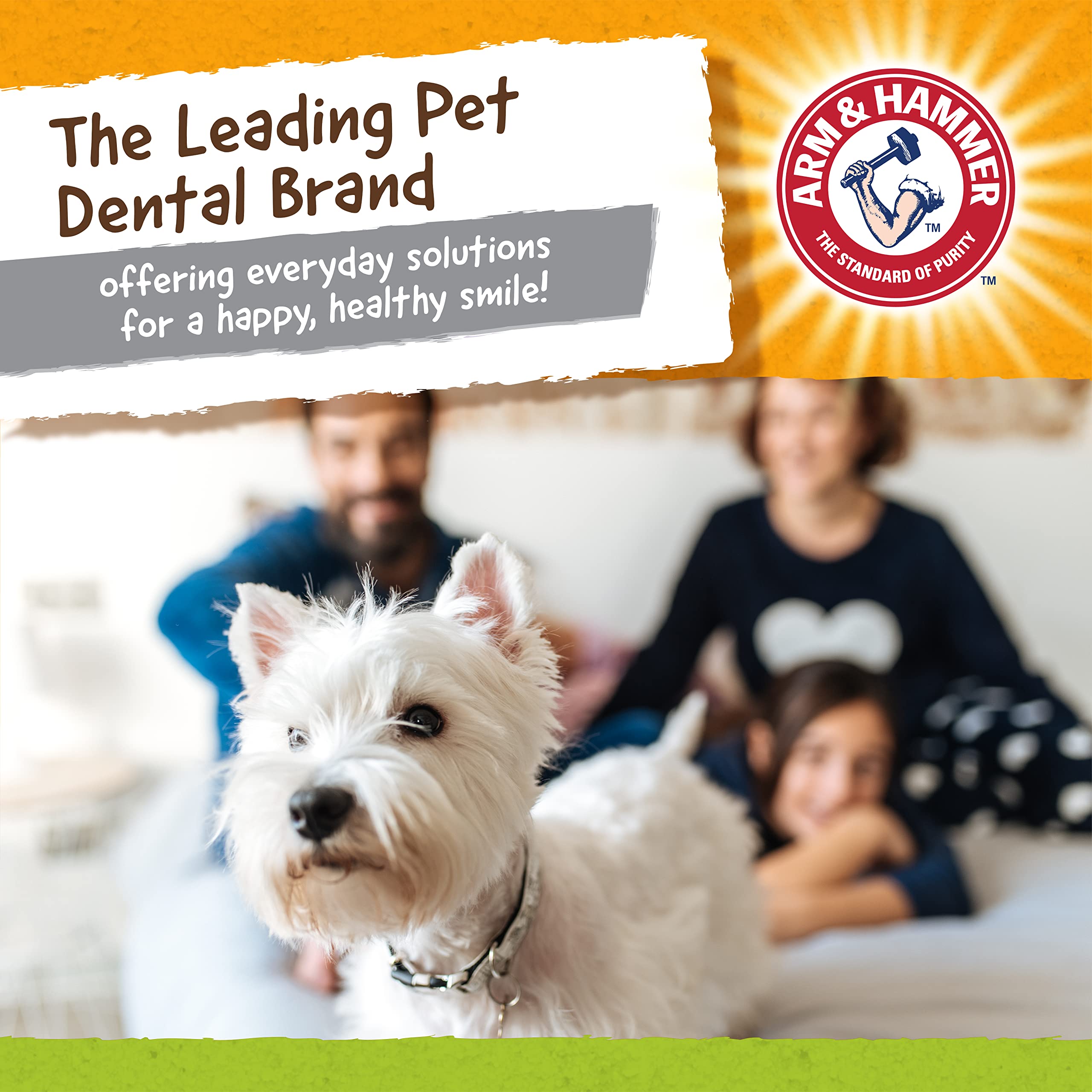 Arm & Hammer For Pets Nubbies Duality Bone Dental Dog Toy - Best Dog Chew Toy For Moderate Chewers - Helps Reduce Plaque & Tarta
