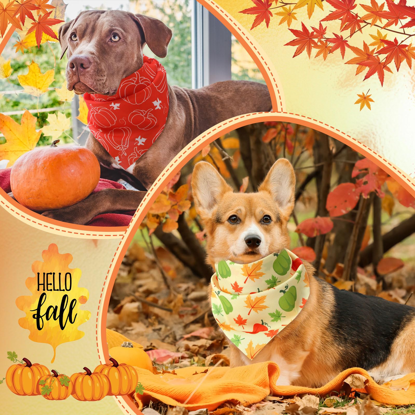 Weewooday 50 Pcs Fall Dog Bandanas Bulk Pumpkin Maple Leaves Thanksgiving Autumn Bandanas for Bibs Adjustable Scarf for Small Me